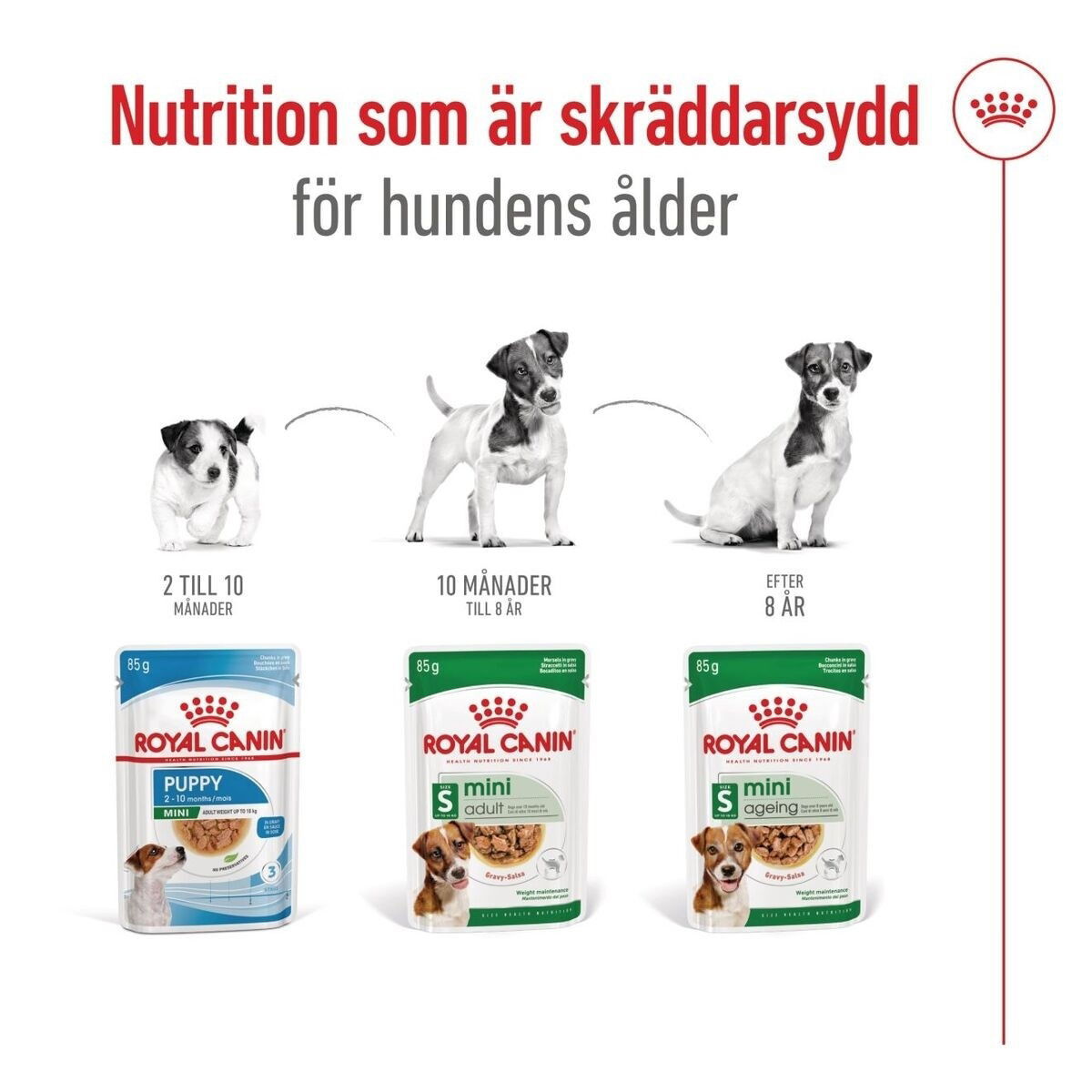 Royal Canin Mini Ageing Gravy våtfoder för hund