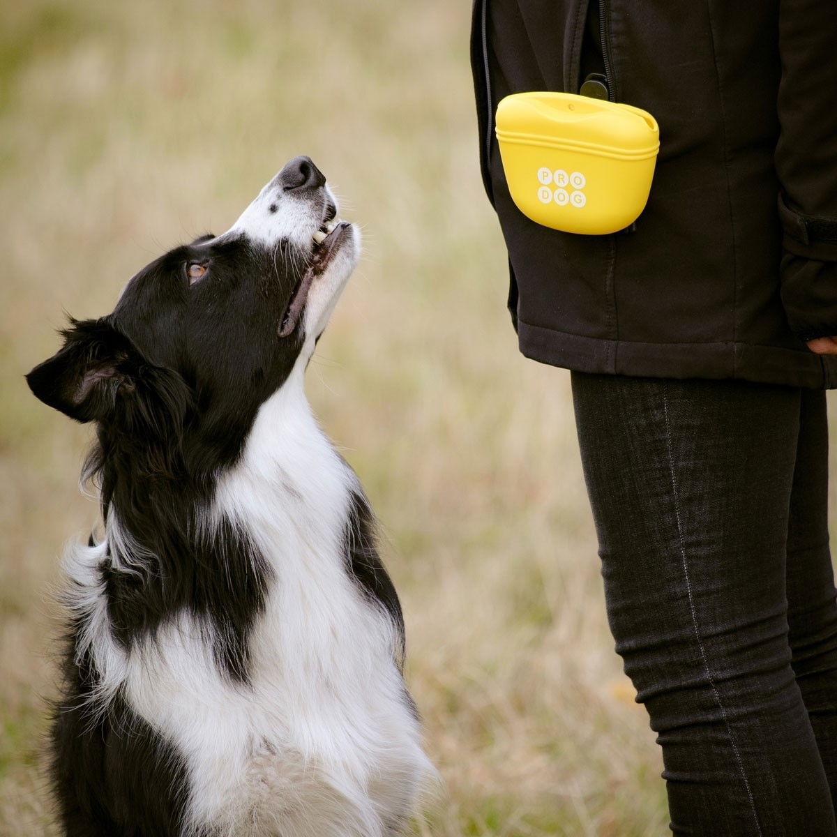 Pro Dog Silicon Treat Bag yellow