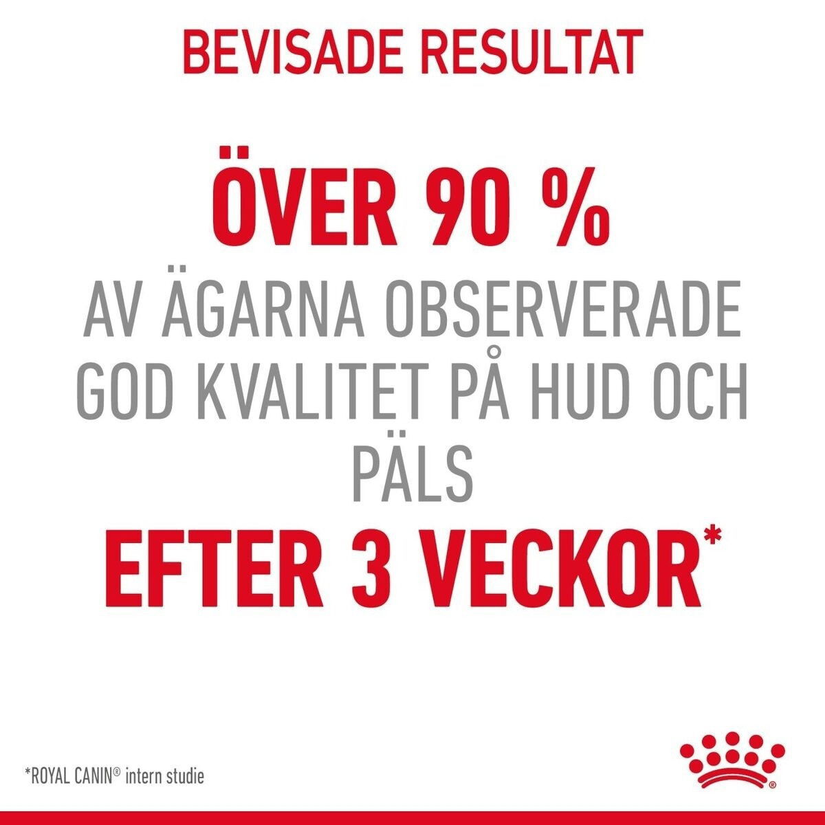 Royal Canin Hair & Skin Care Jelly Adult våtfoder för katt
