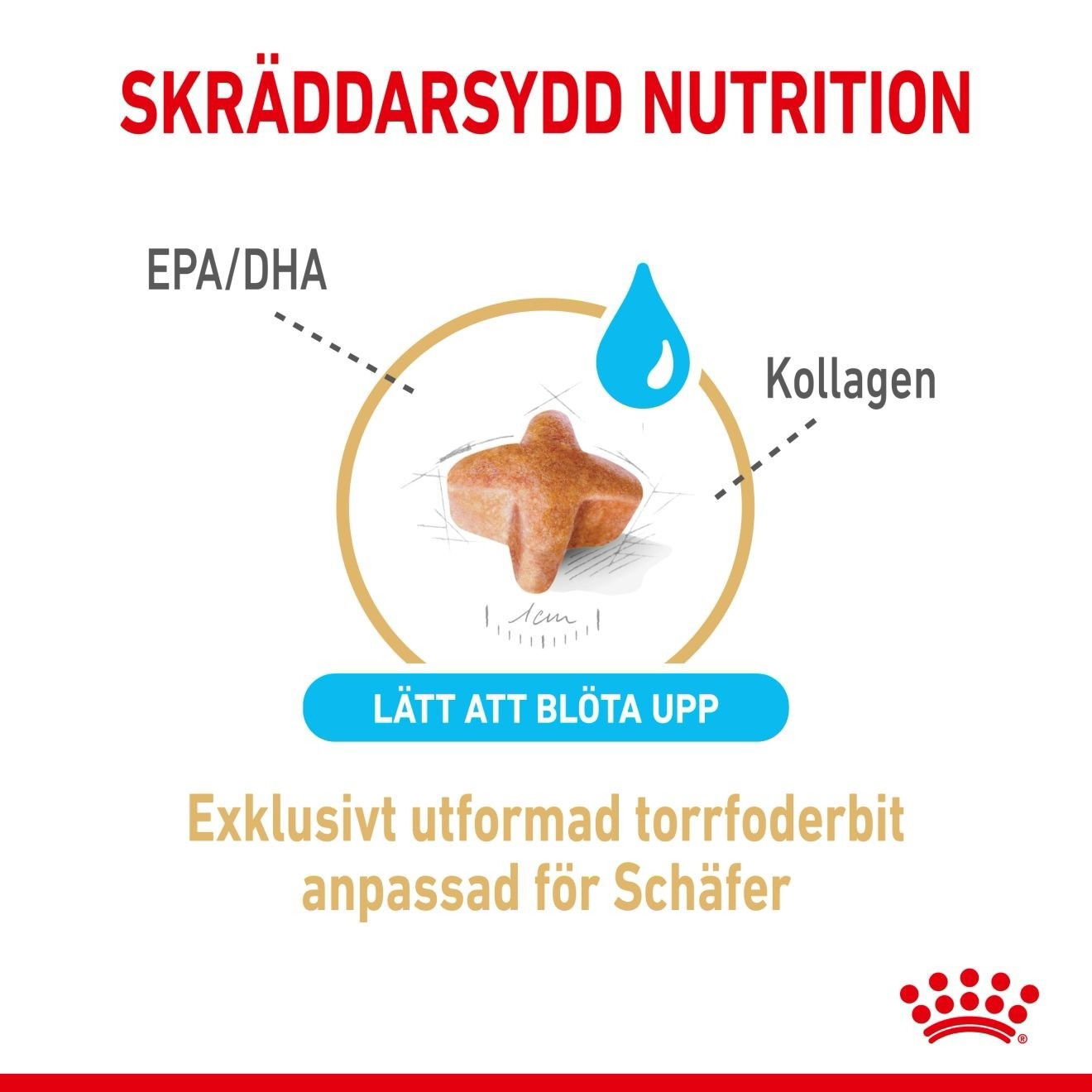 Royal Canin German Shepherd Adult 5+ torrfoder för hund