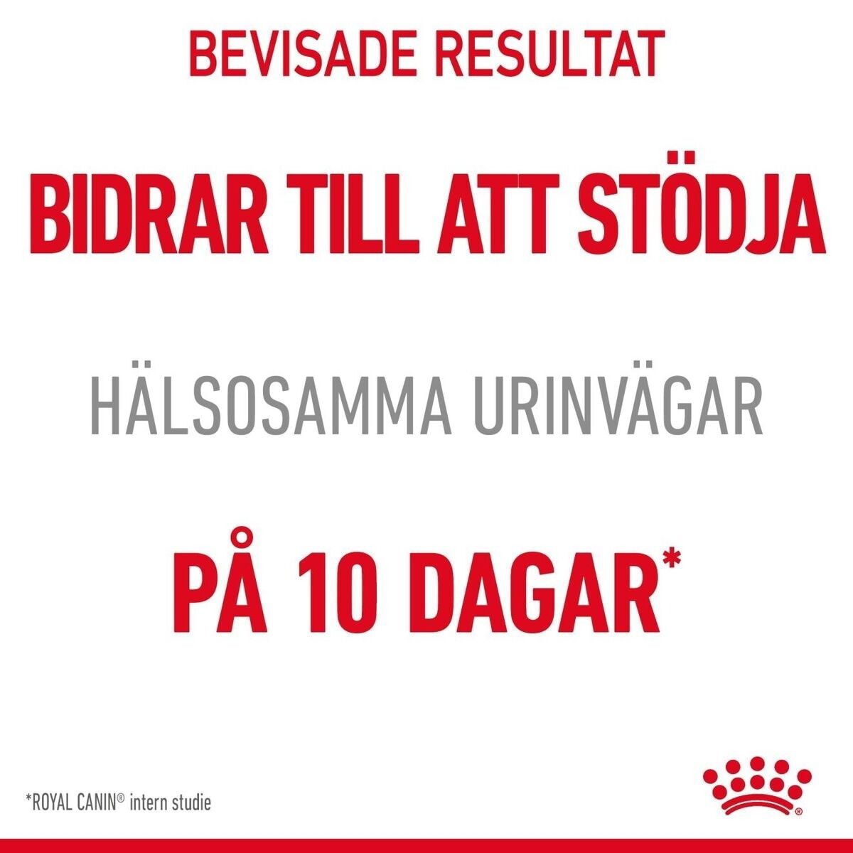 Royal Canin Urinary Care Adult torrfoder för katt