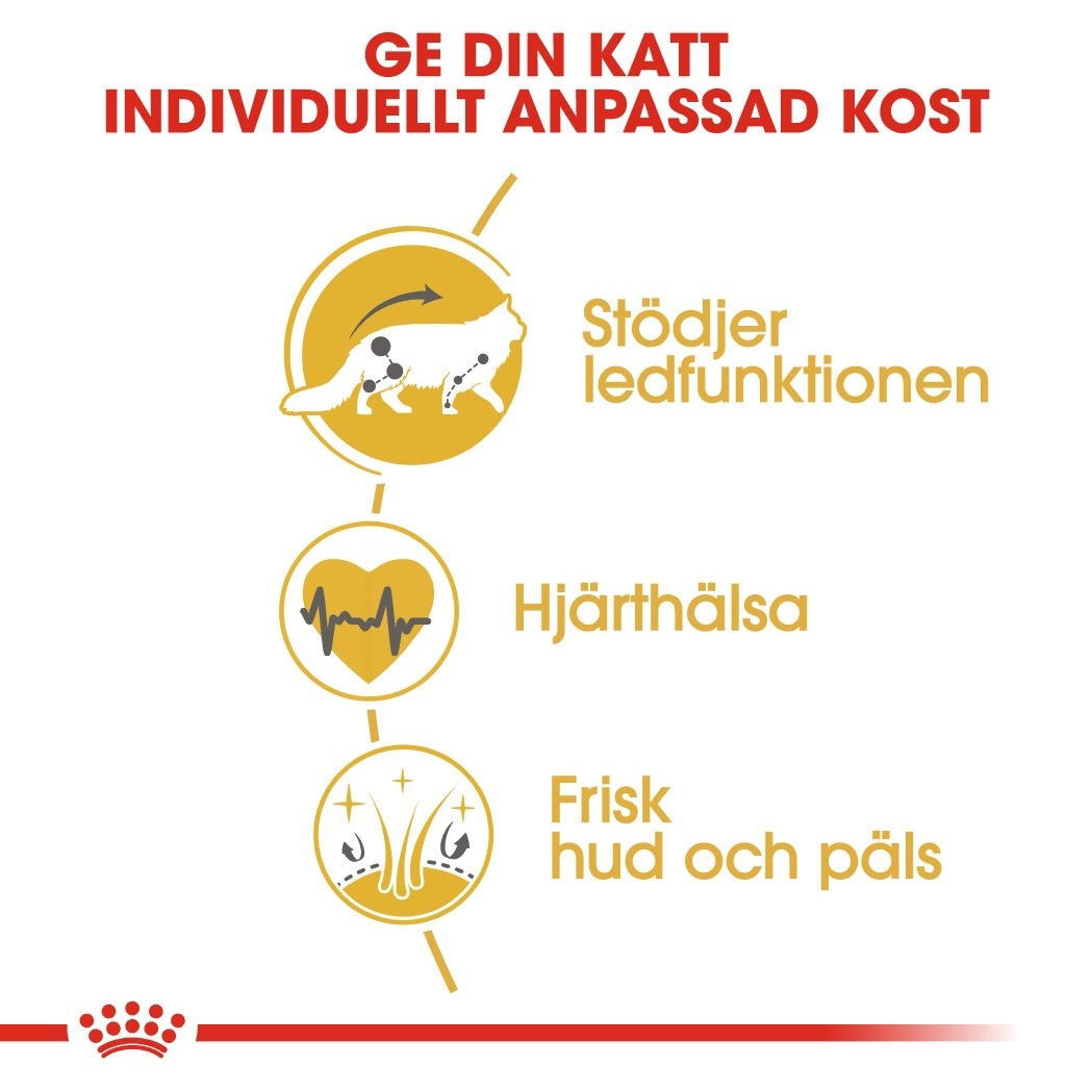 Royal Canin Maine Coon 400 g