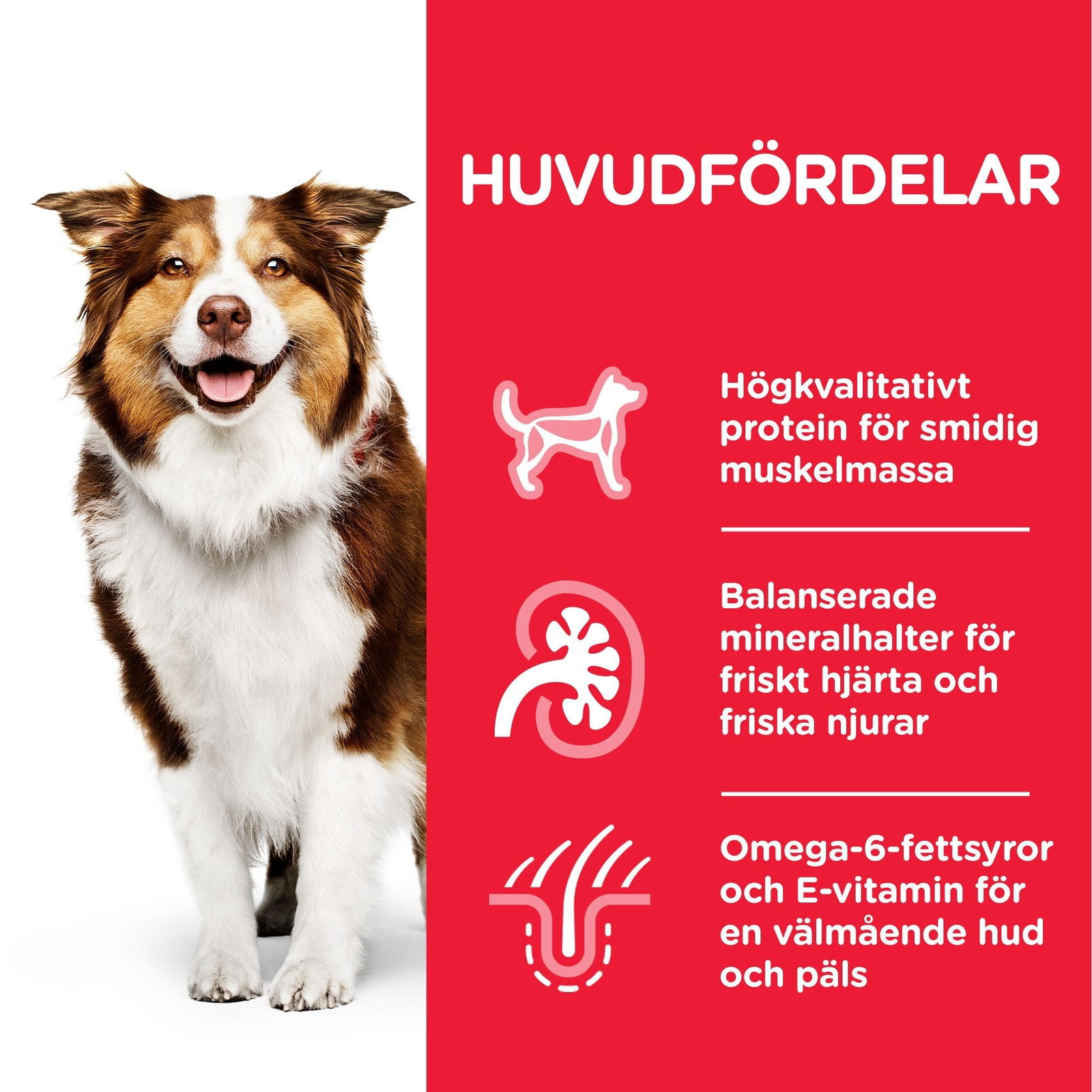 Hill's Science Plan Dog Mature 7+ Chicken