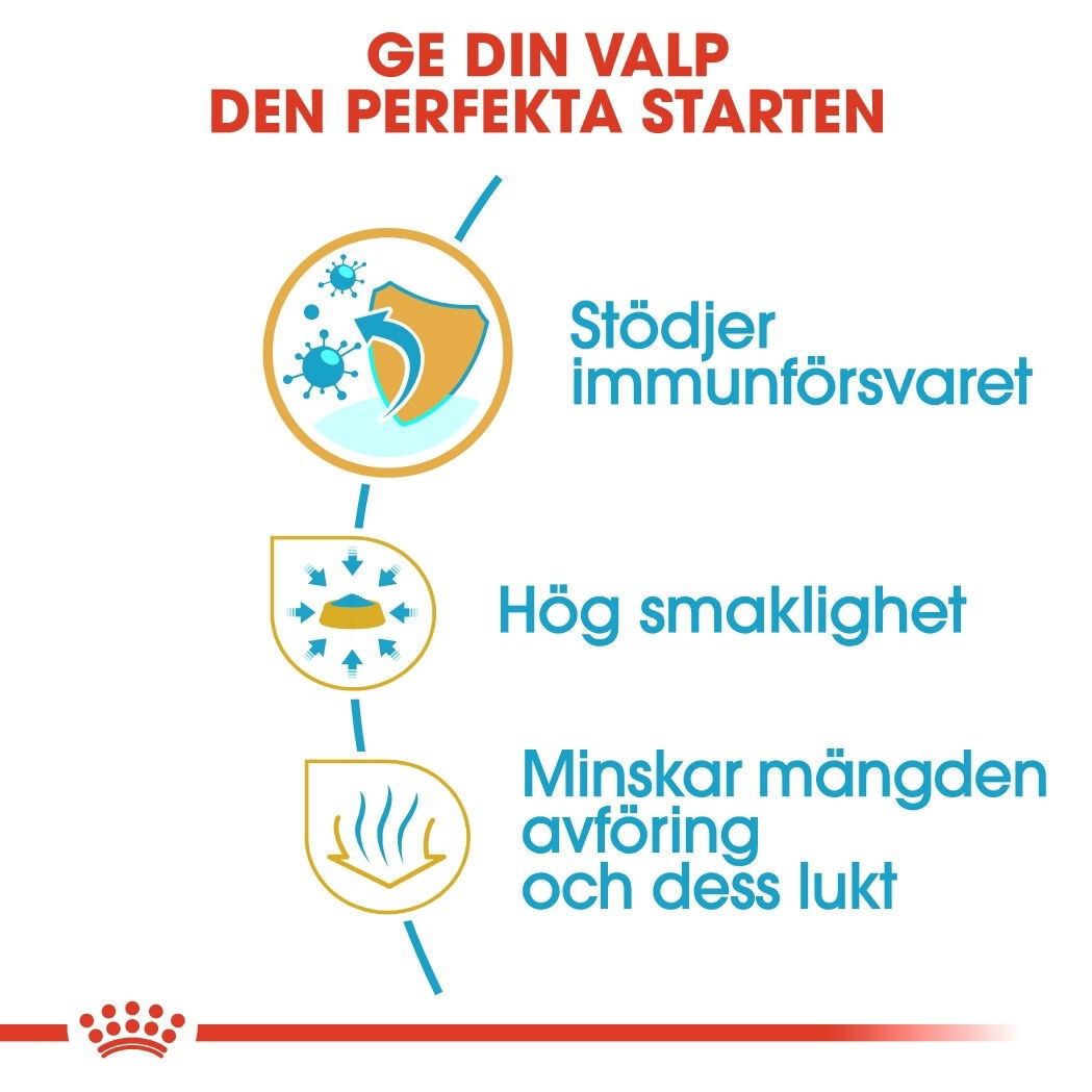 Royal Canin Chihuahua Puppy torrfoder för hundvalp
