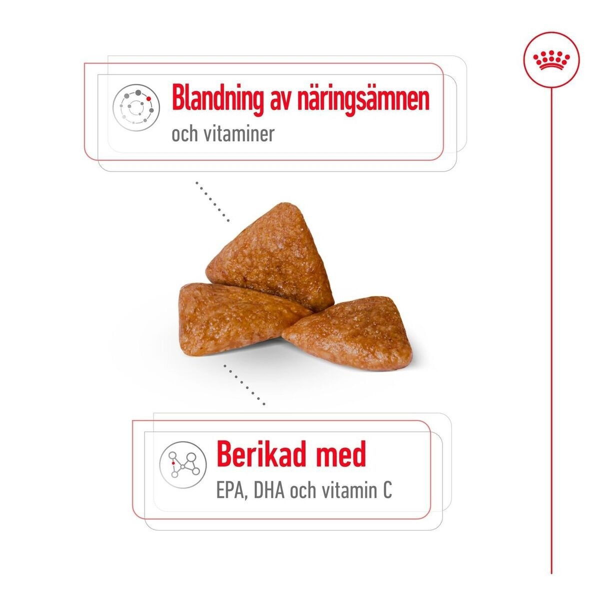 Royal Canin X-small Ageing 12+ torrfoder för hund