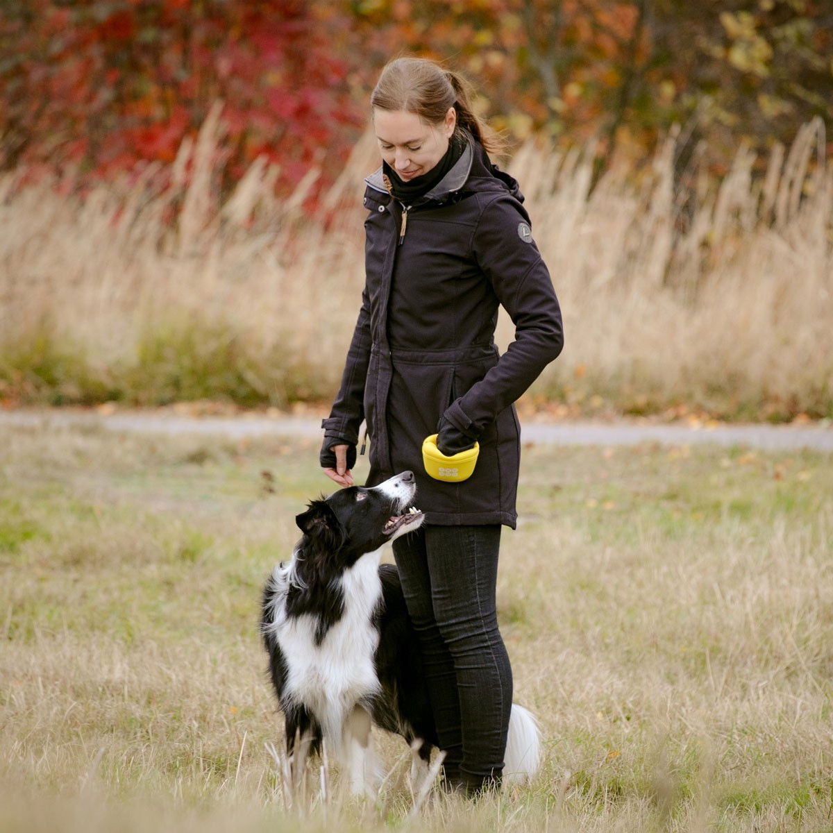 Pro Dog Silicon Treat Bag yellow