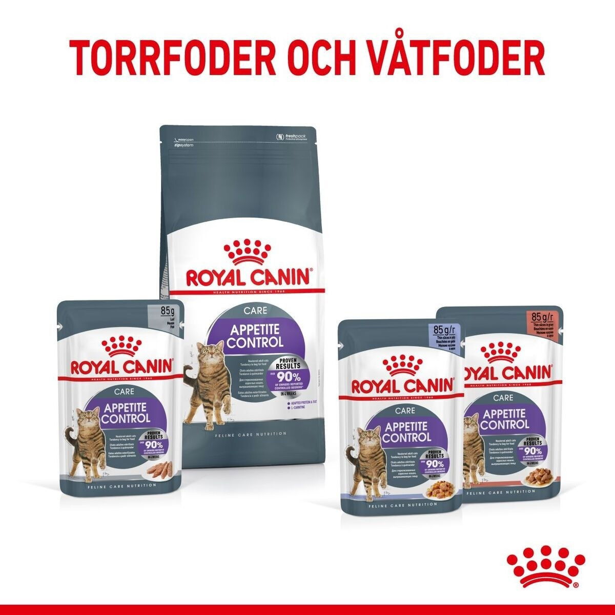 Royal Canin Appetite Control Care Adult torrfoder för katt