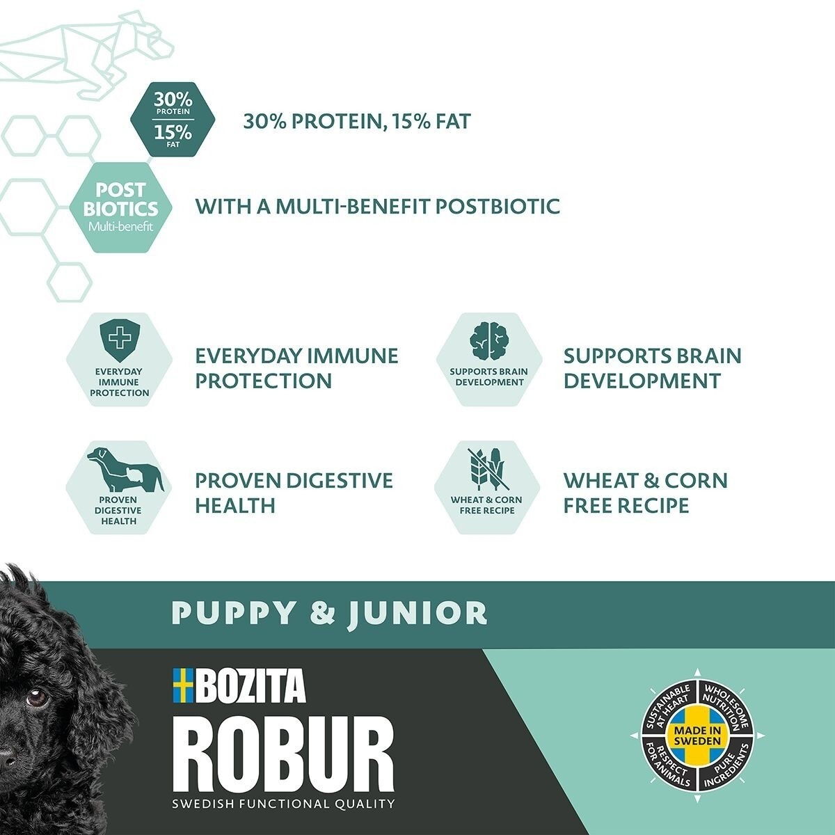 Robur Puppy & Junior