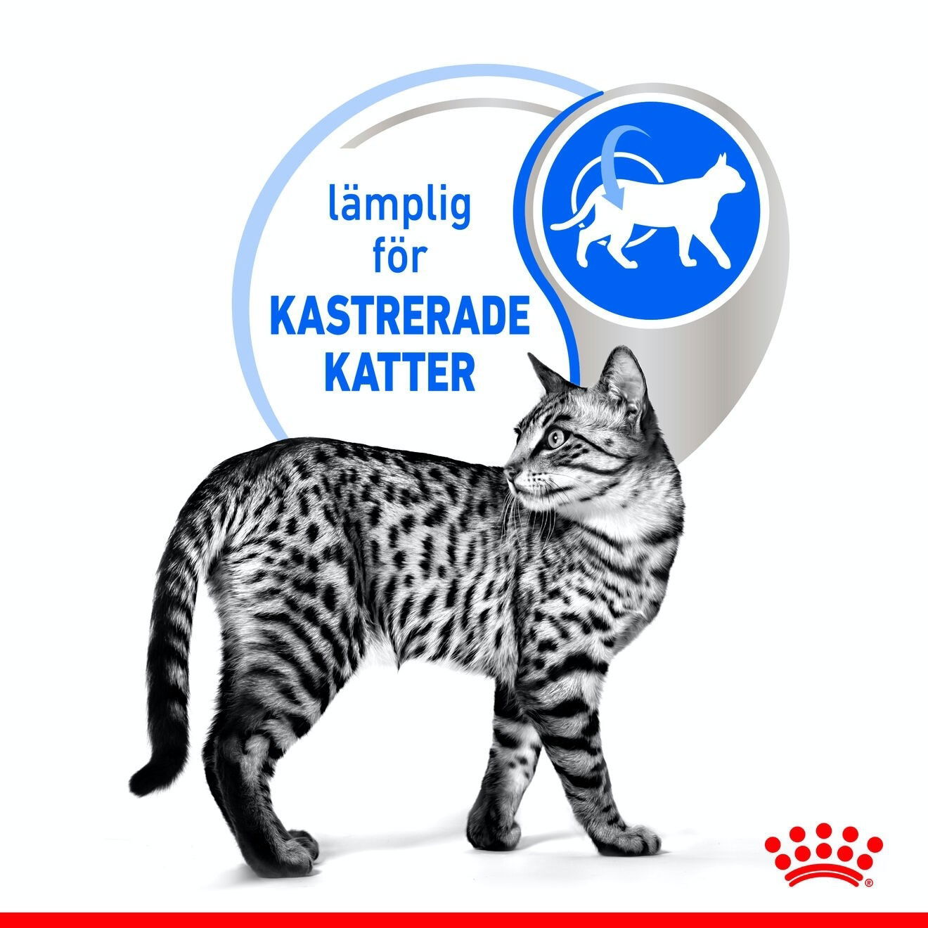 Royal Canin Indoor Sterilised Jelly Adult våtfoder för katt