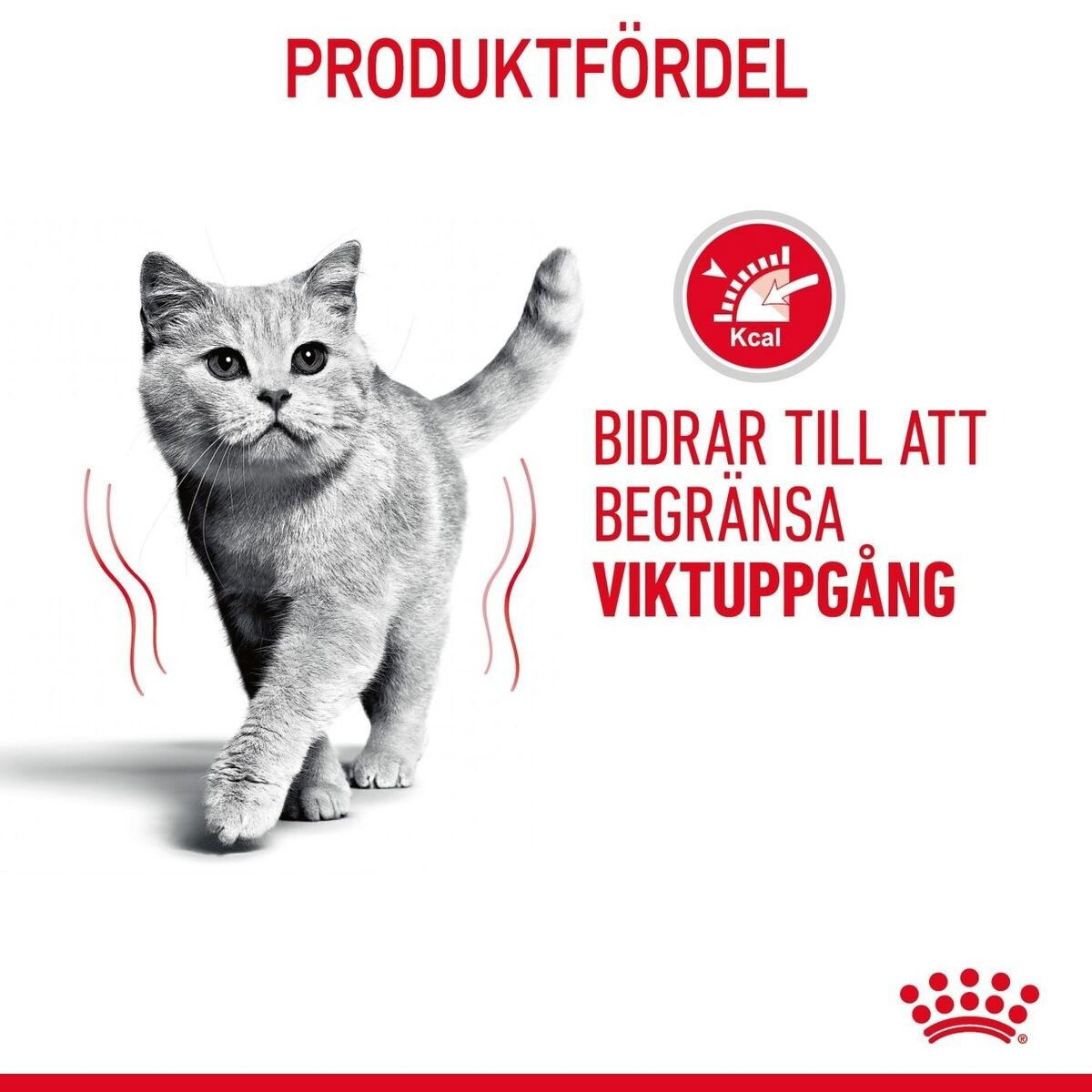 Royal Canin Light Weight Care Jelly Adult våtfoder för katt