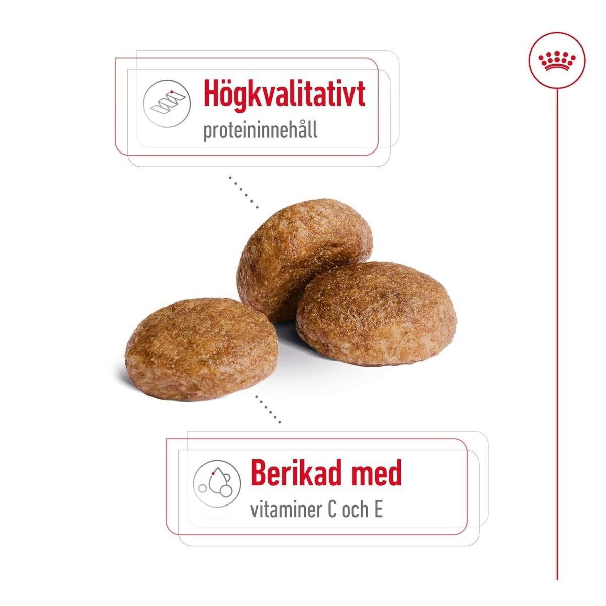 Royal Canin Medium Adult 7+ torrfoder för hund