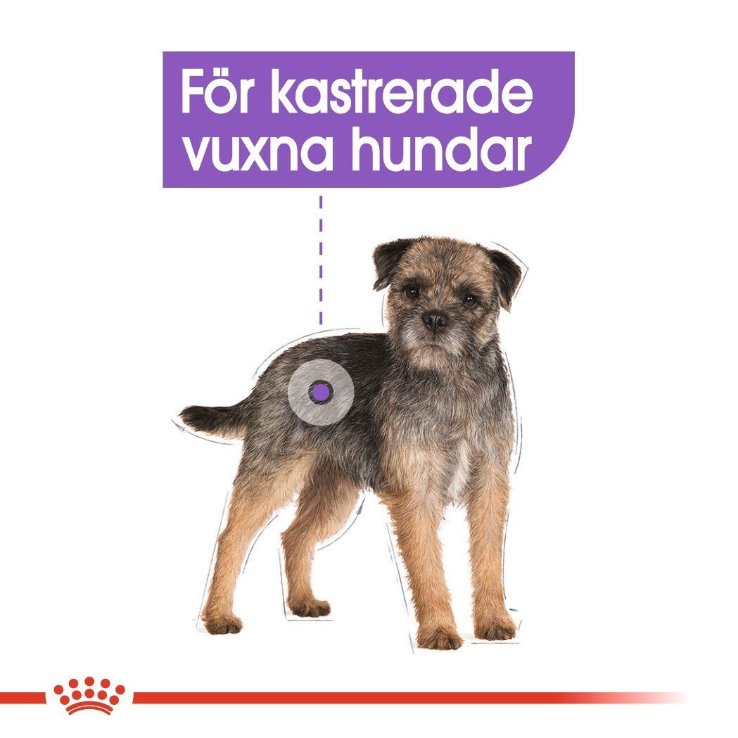 Royal Canin Sterilised Adult Loaf våtfoder för hund