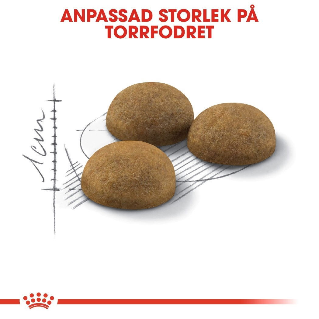 Royal Canin Indoor Long Hair Adult torrfoder för katt