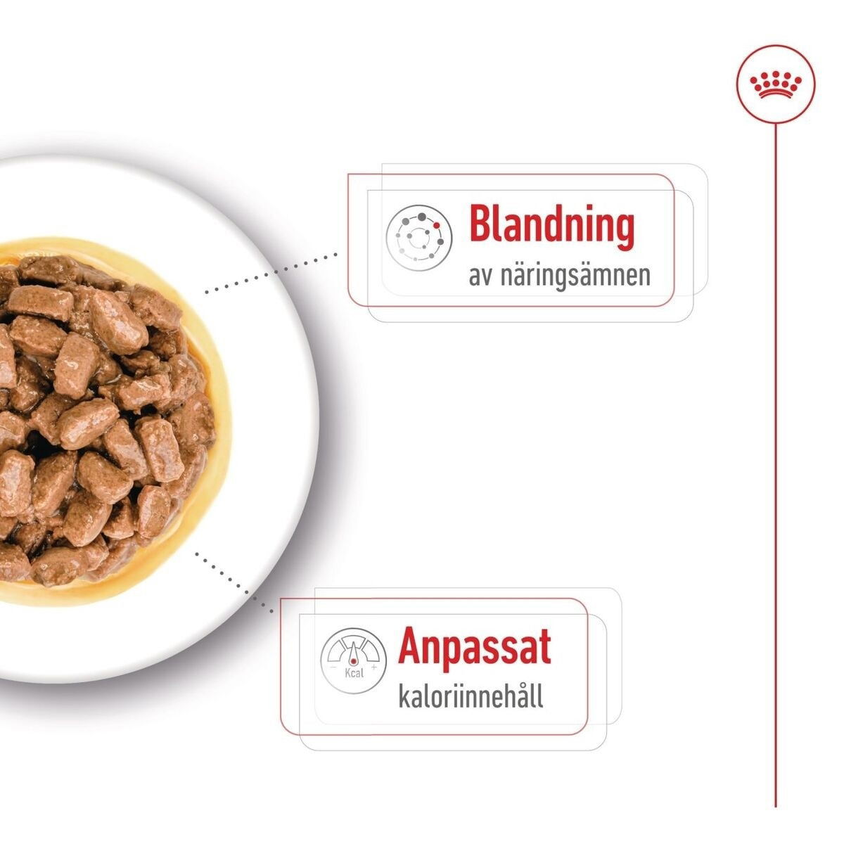 Royal Canin Mini Ageing Gravy våtfoder för hund