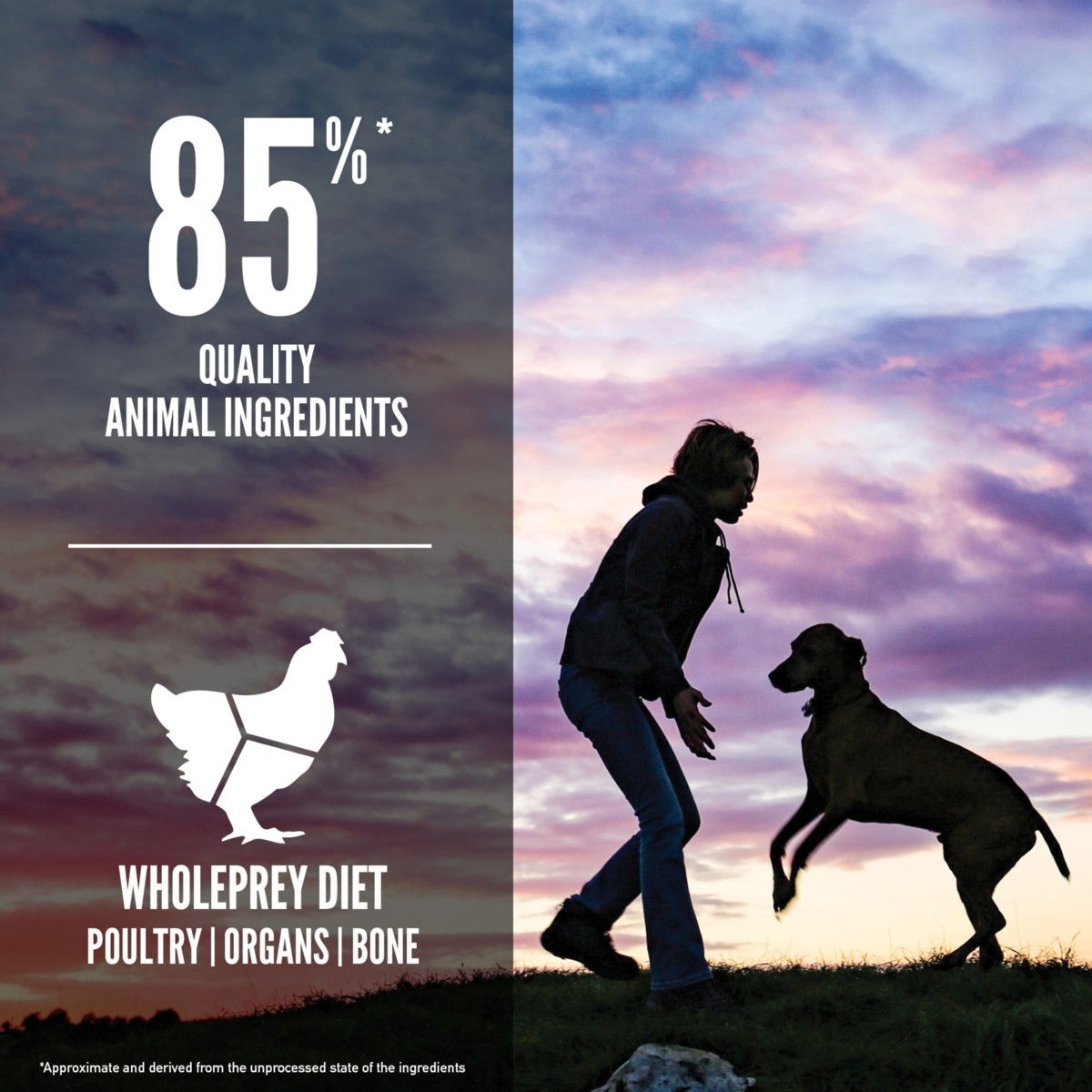 Orijen Dog Puppy Large Breed 