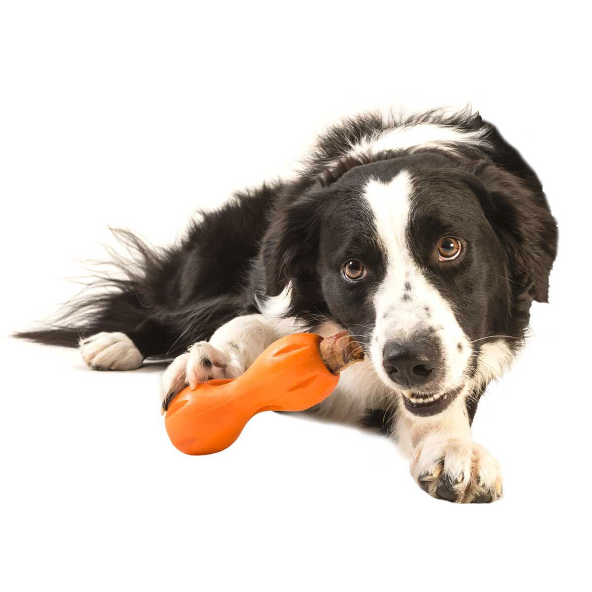 West Paw Qwizl tangerine orange