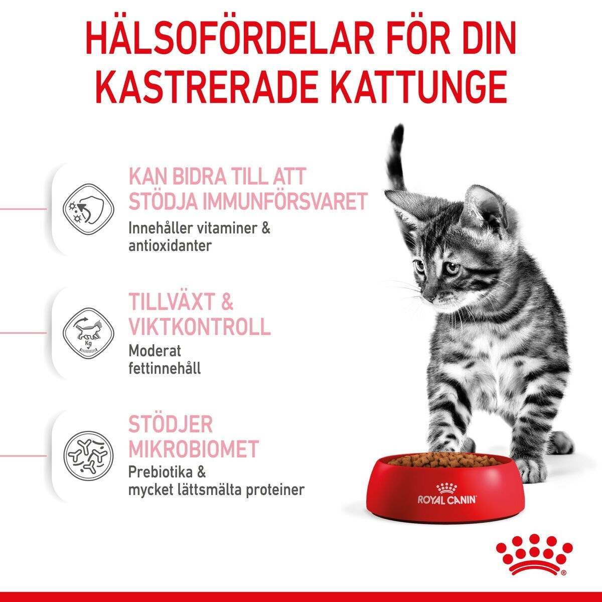 Royal Canin Kitten Sterilised torrfoder för kattunge