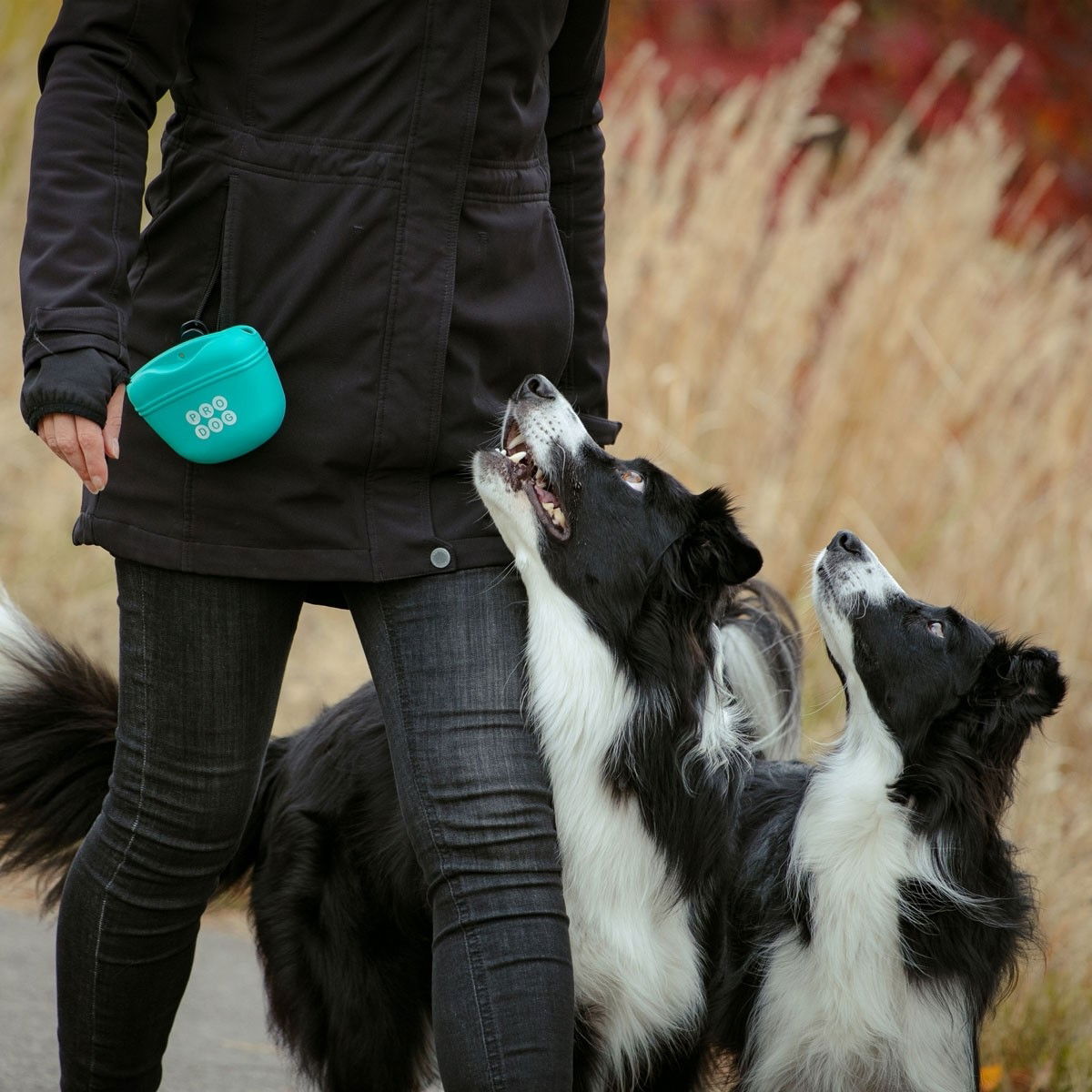 Pro Dog Silicon Treat Bag turquoise