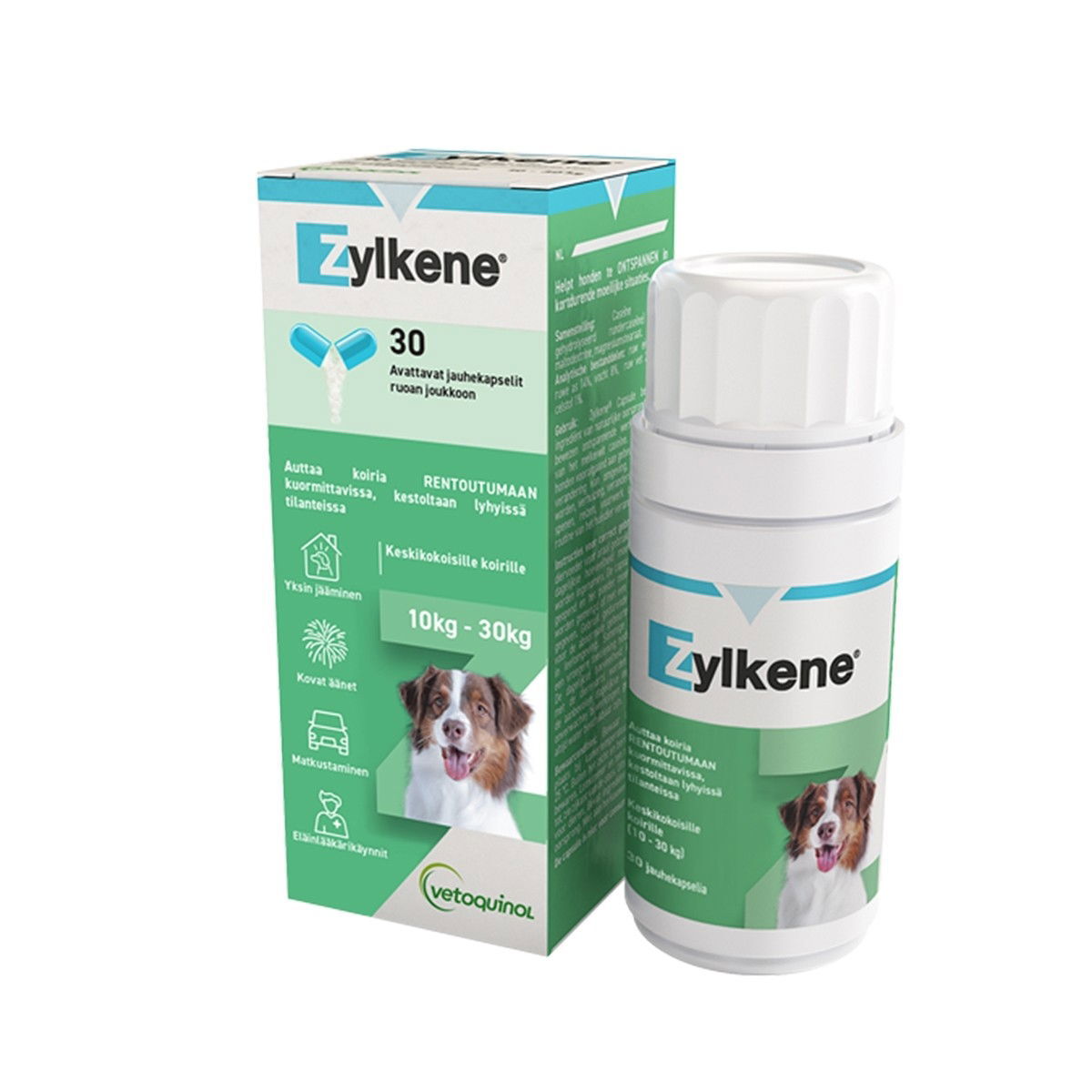 ZYLKENE 450 mg kapselit   30