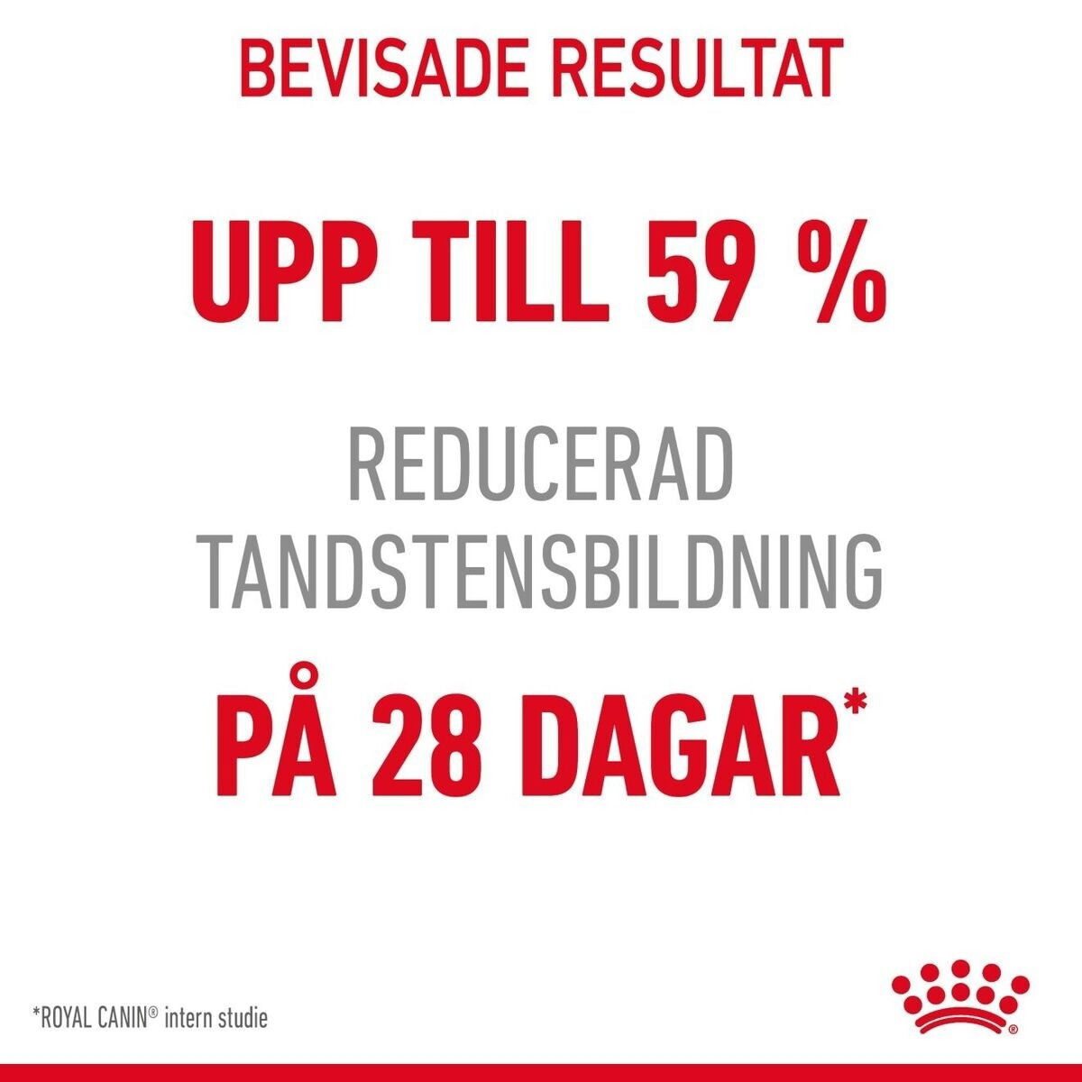 Royal Canin Dental Care Adult torrfoder för katt