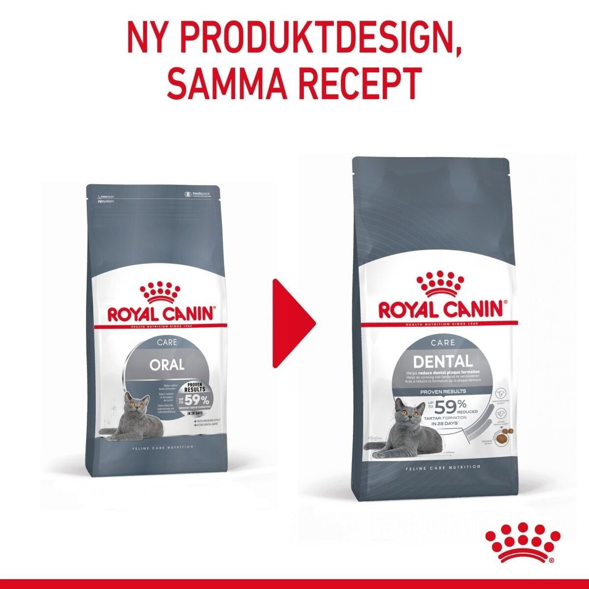 Royal Canin Dental Care Adult torrfoder för katt