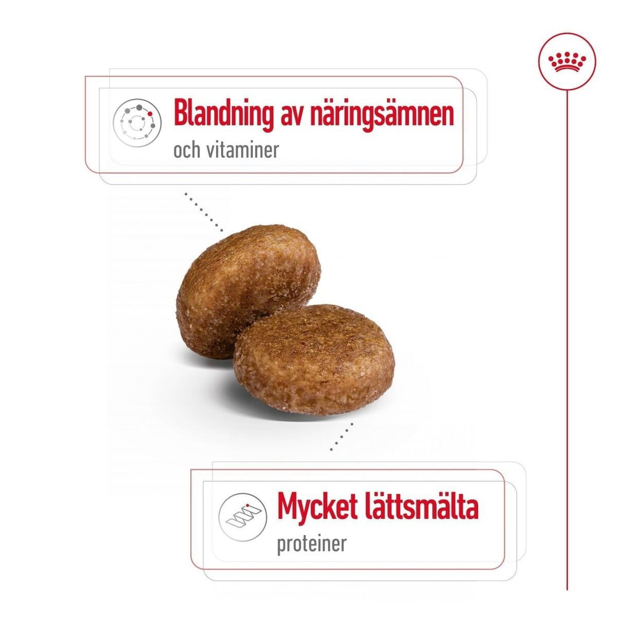 Royal Canin Maxi Adult 5+ torrfoder för hund