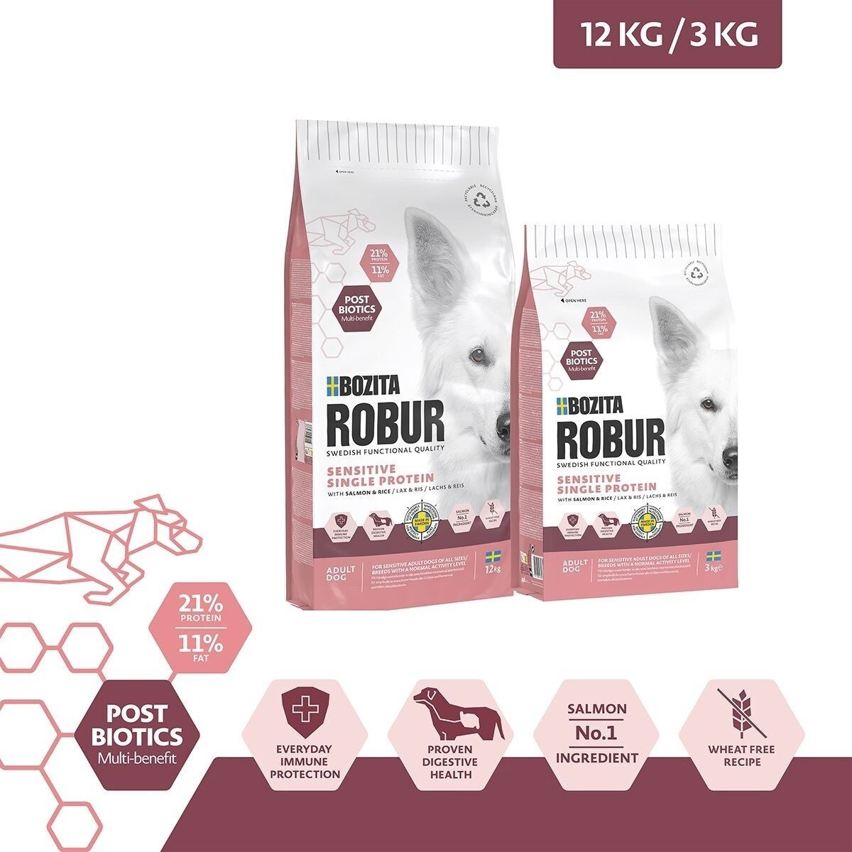 Robur Adult Sensitive Single Salmon