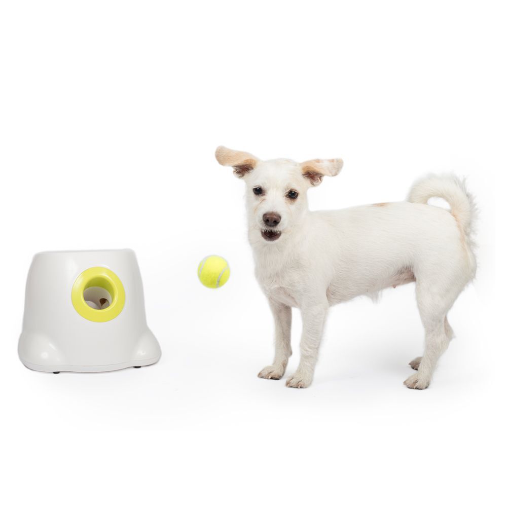 All For Paws Hyper Fetch Mini