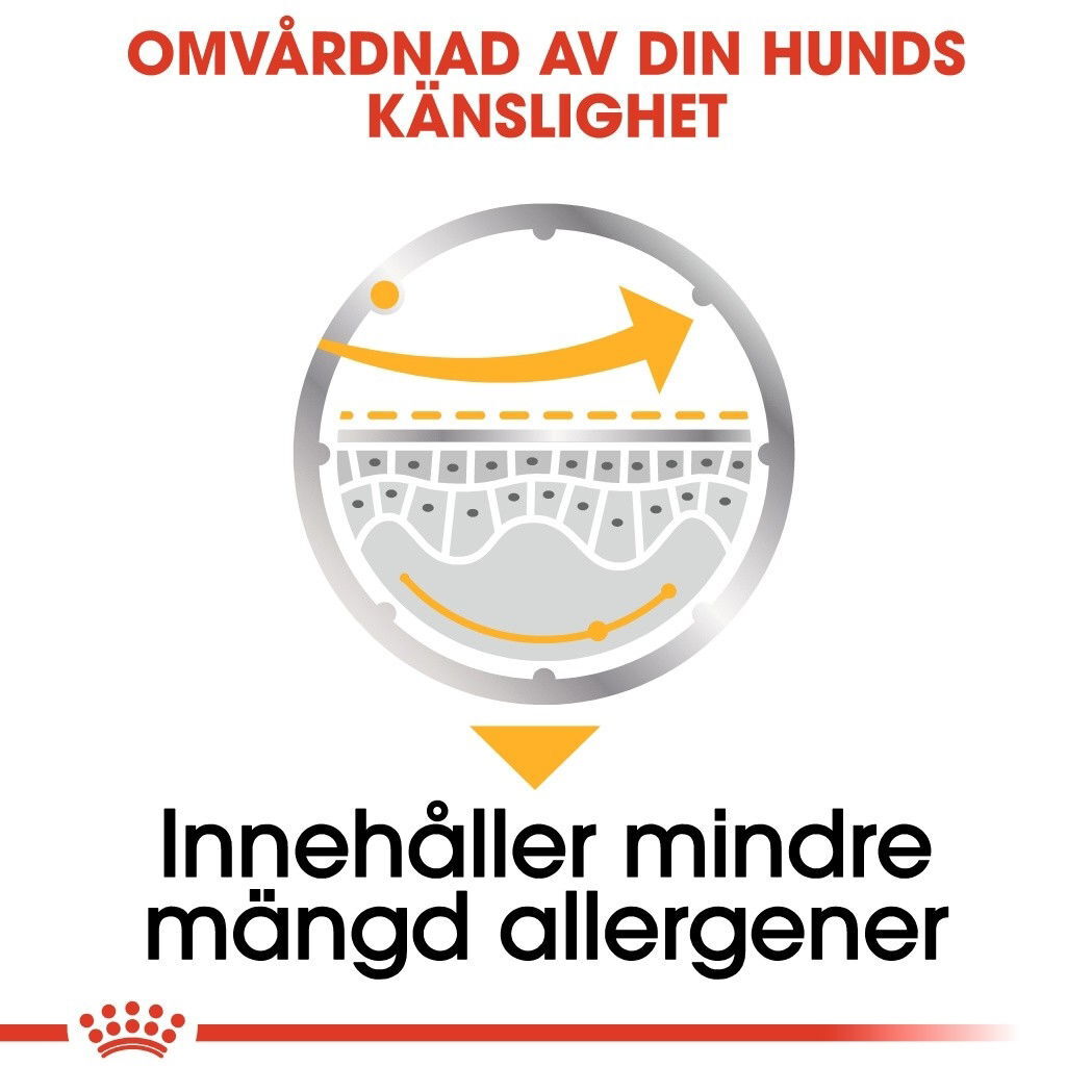 Royal Canin Dermacomfort Adult Loaf våtfoder för hund