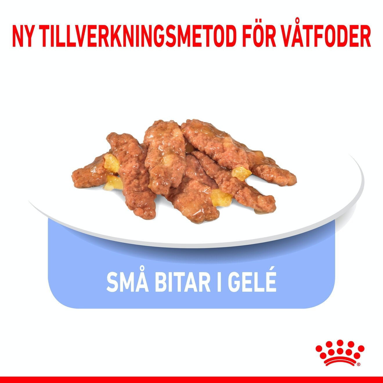 Royal Canin Indoor Sterilised Jelly Adult våtfoder för katt