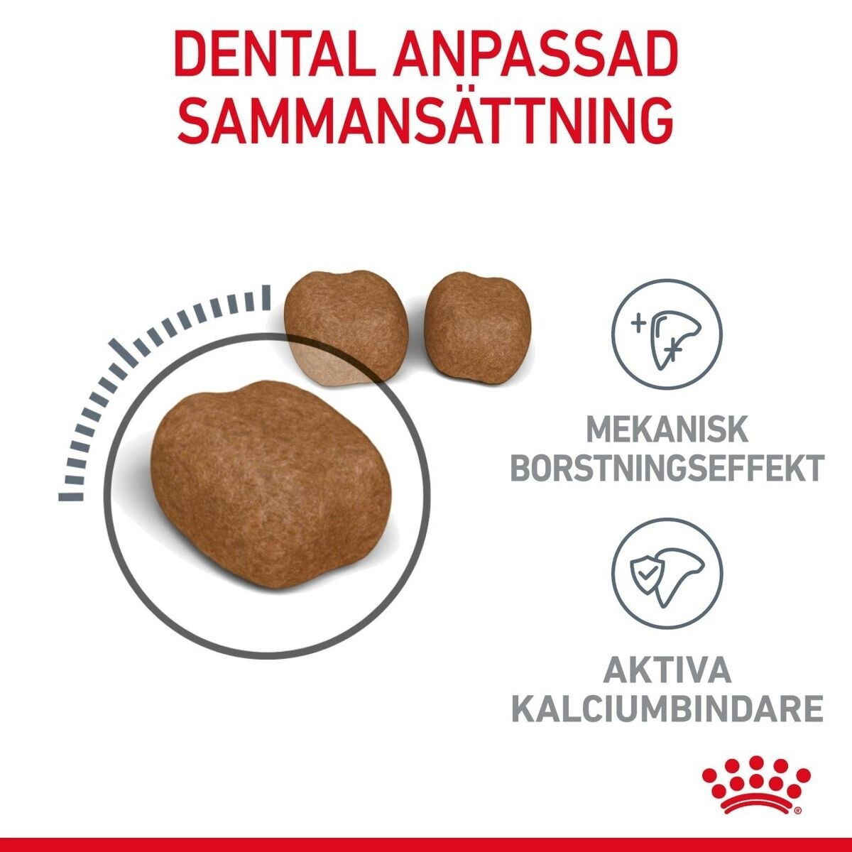 Royal Canin Dental Care Adult torrfoder för katt