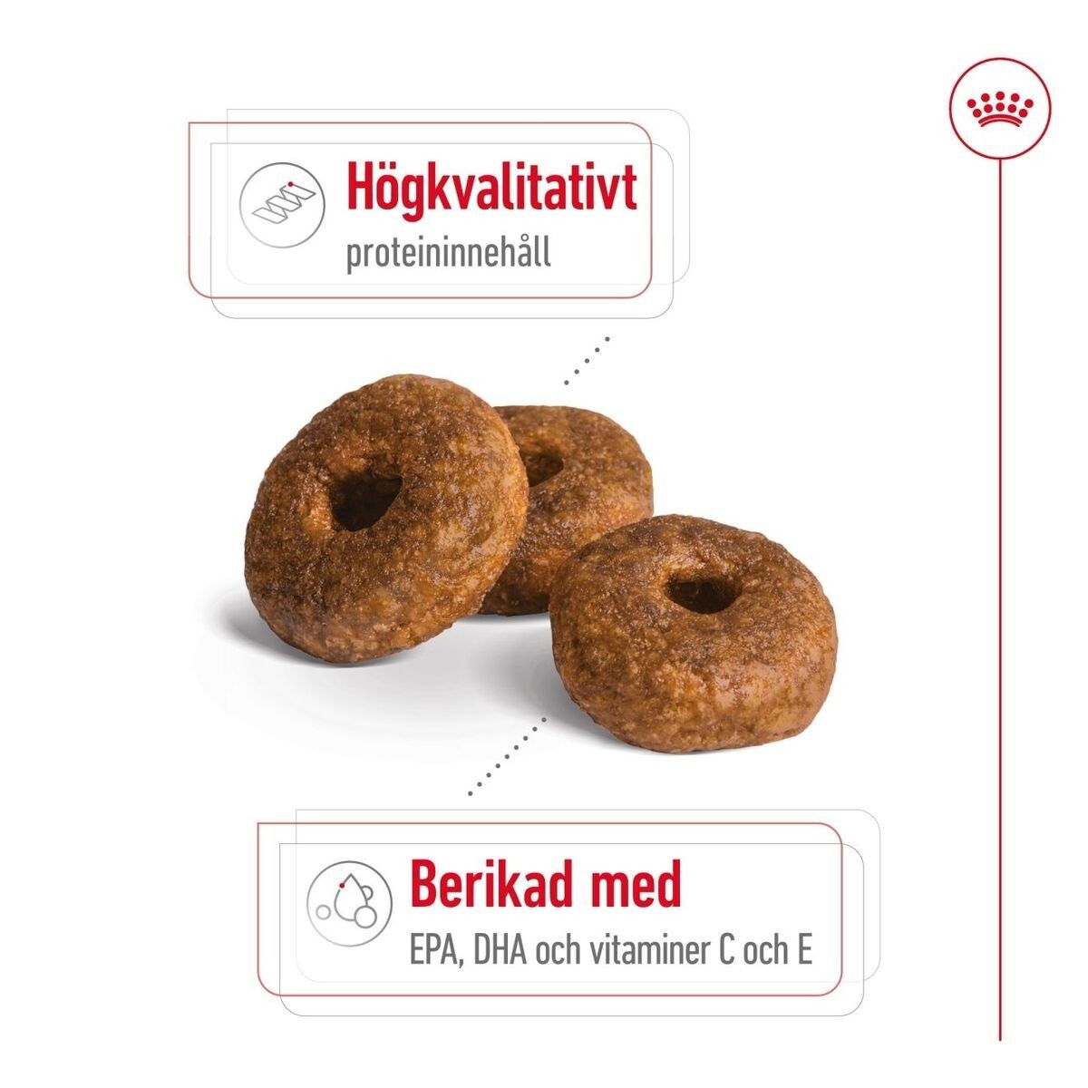 Royal Canin Medium Ageing 10+ torrfoder för hund