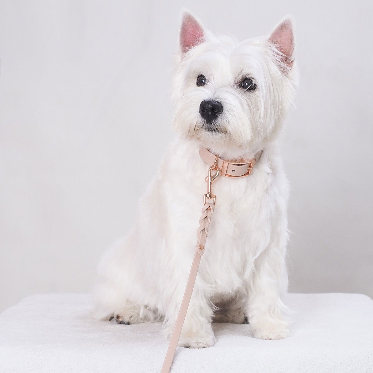 Tyylivoitto Classy narrow collar, nude