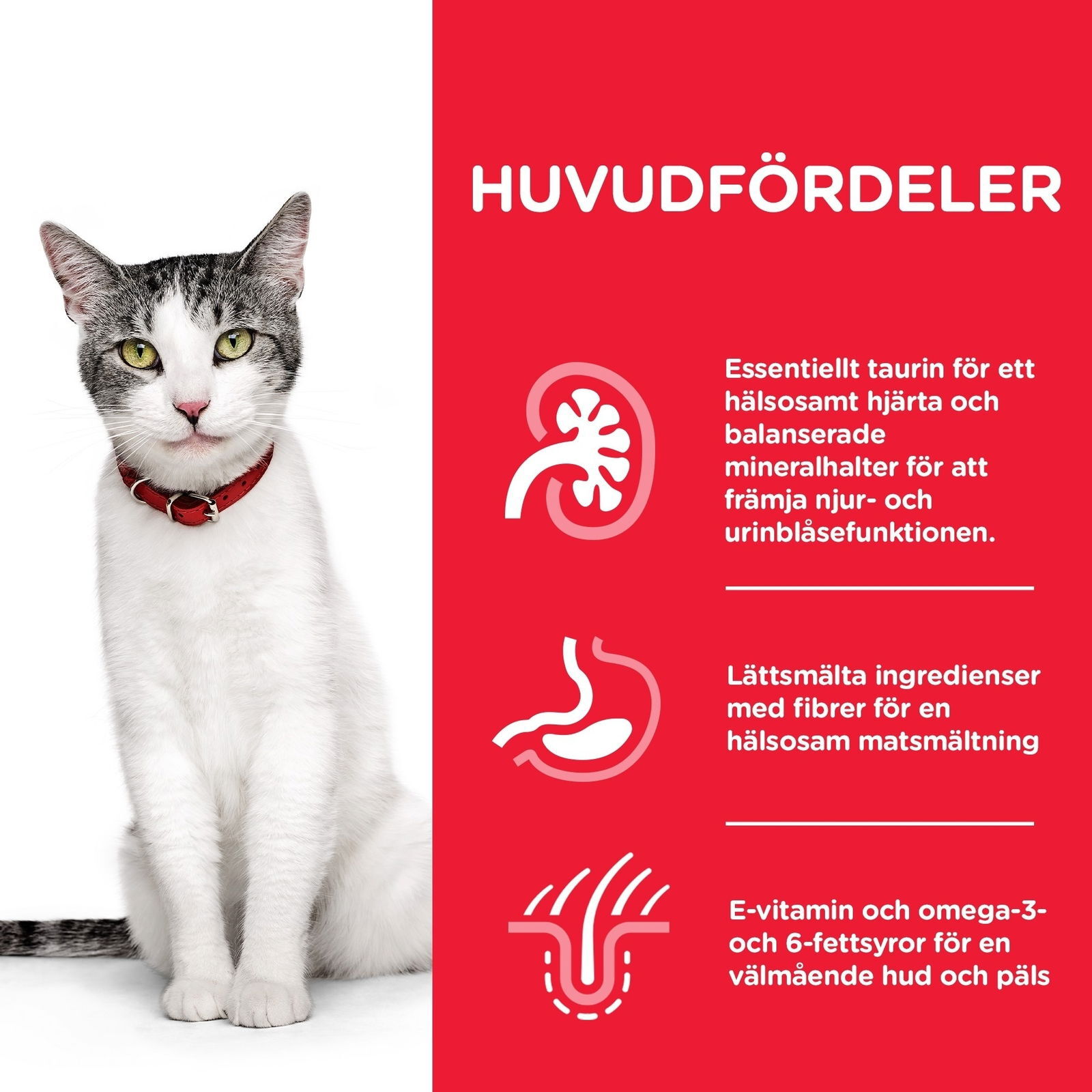 Hill's Science Plan Cat Senior 11+ Chicken