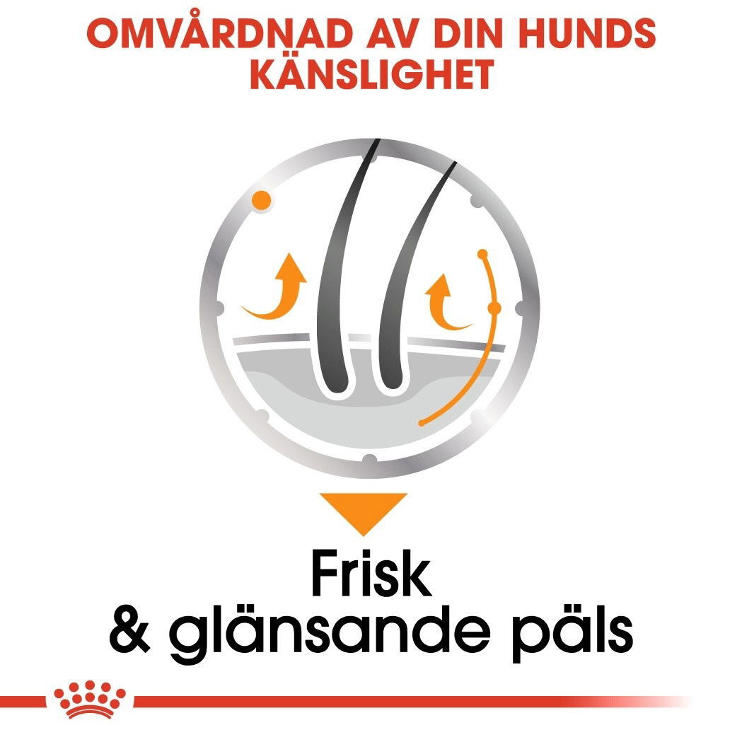 Royal Canin Coat Care Adult våtfoder för hund