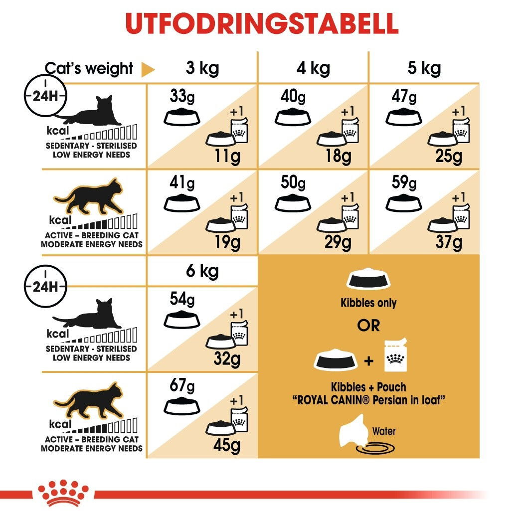Royal Canin Persian Adult torrfoder för katt