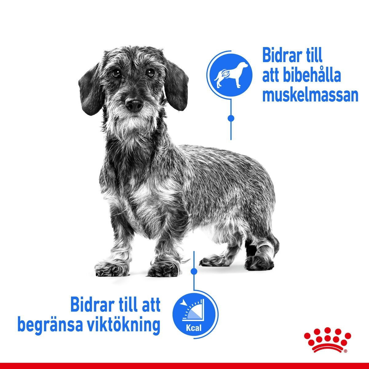 Royal Canin Light Weight Care X-small Adult torrfoder för hund