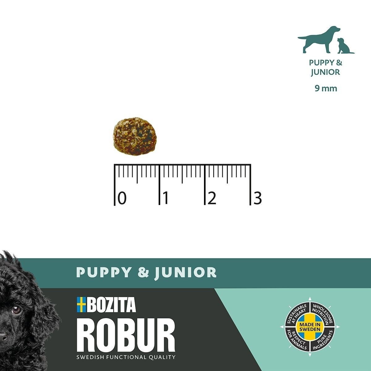 Robur Puppy & Junior