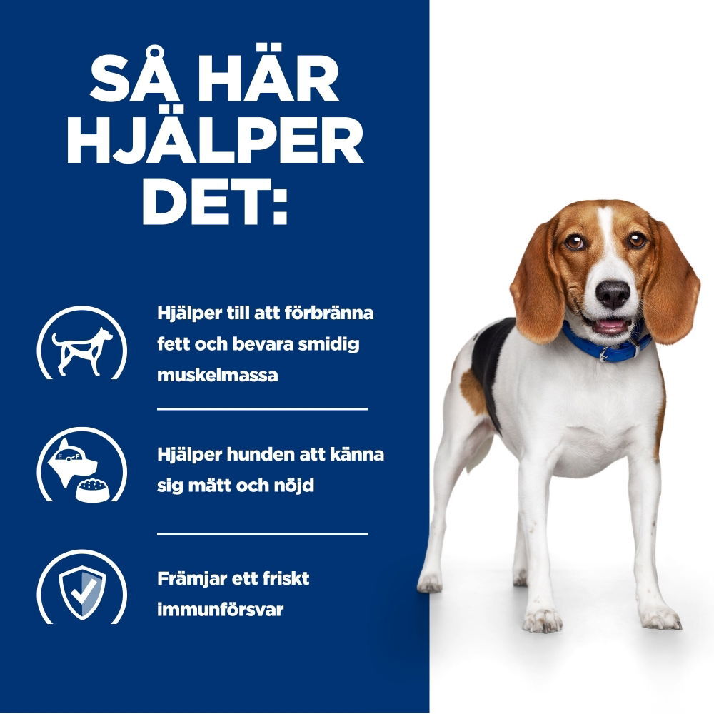 Hills Diet Dog r/d