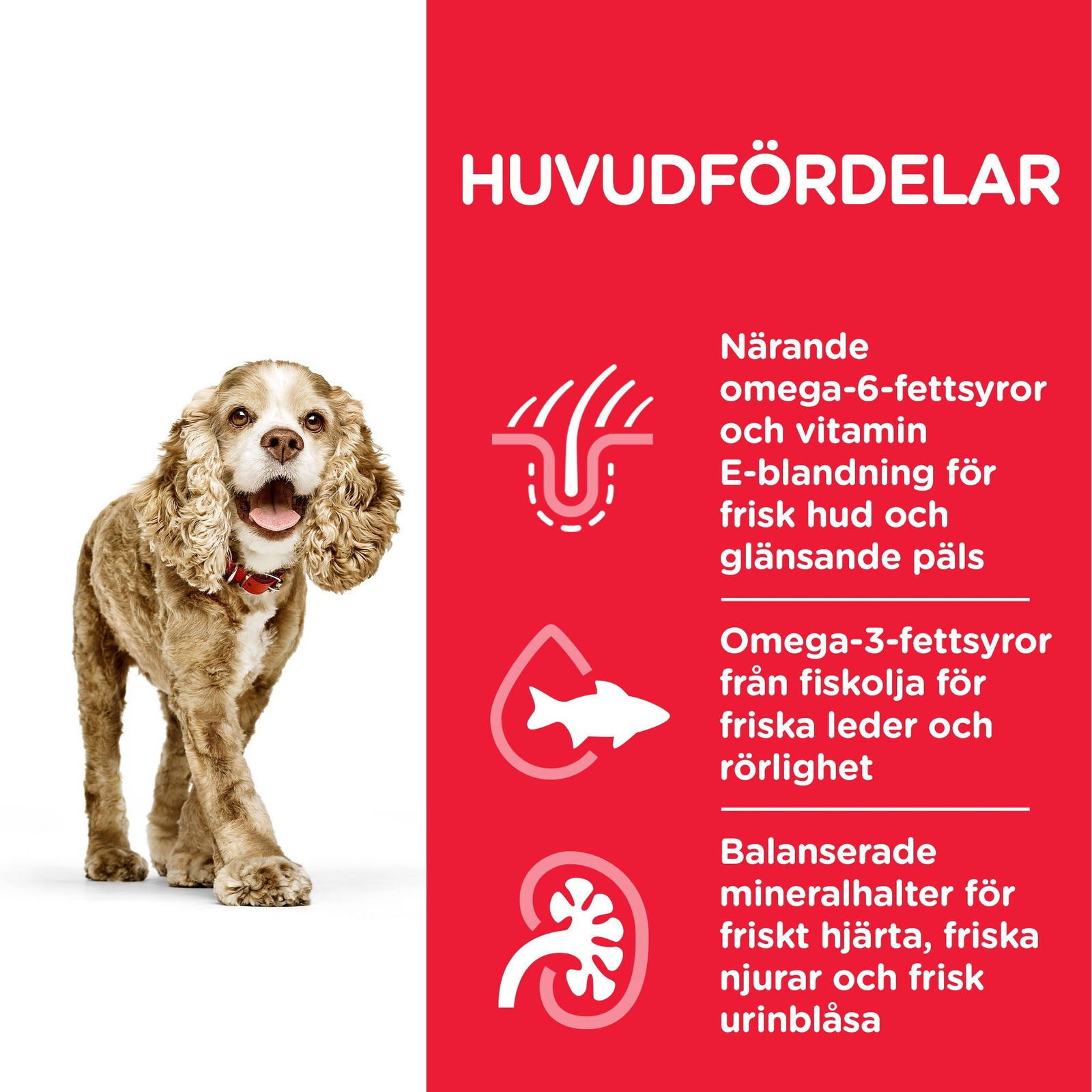 Hill's Science Plan Dog Senior Small & Mini