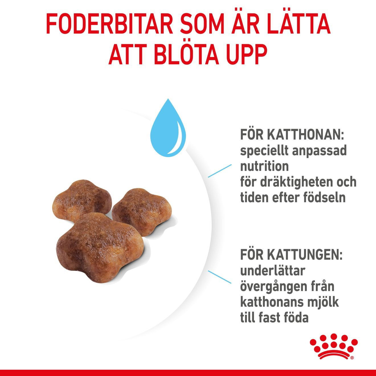 Royal Canin Mother & Babycat torrfoder för katt och kattunge