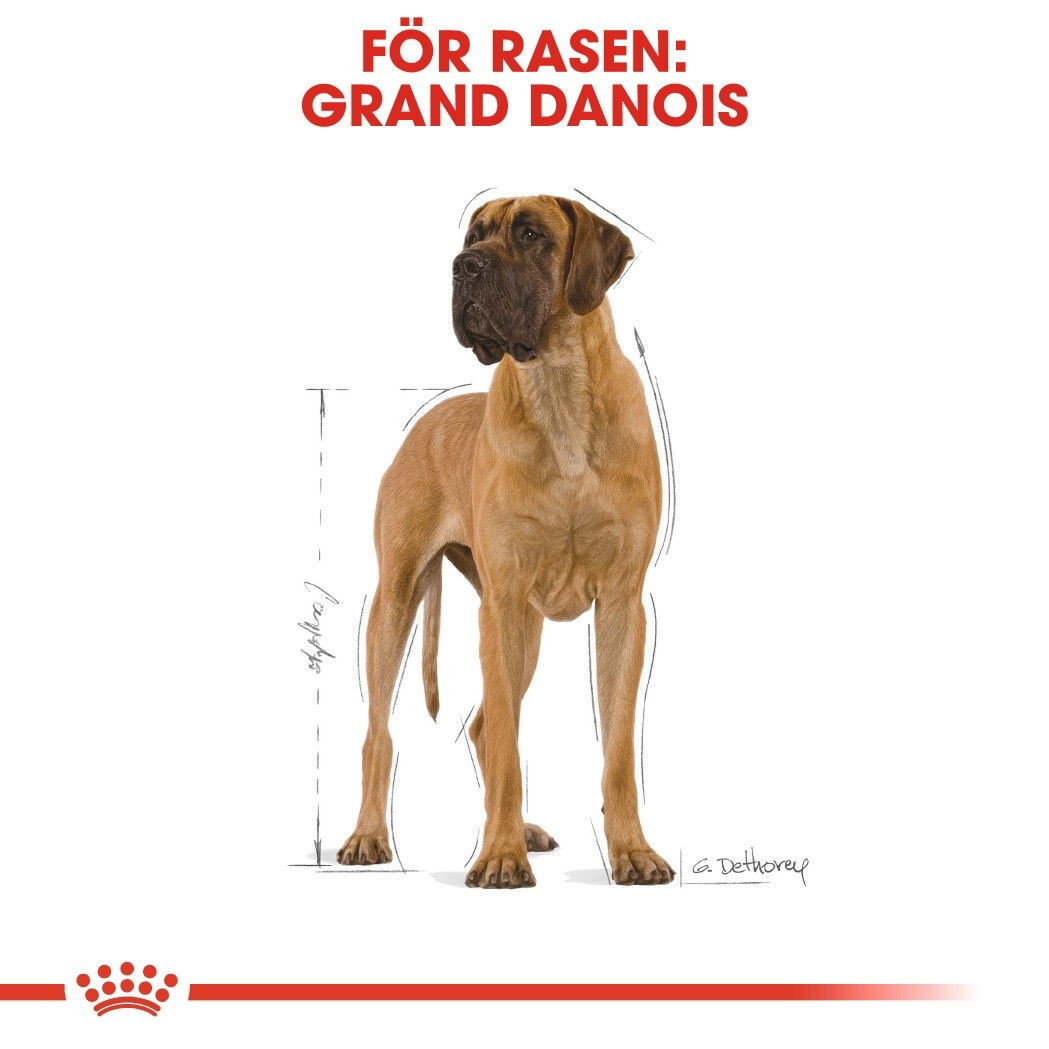 Royal Canin Great Dane Adult torrfoder för hund