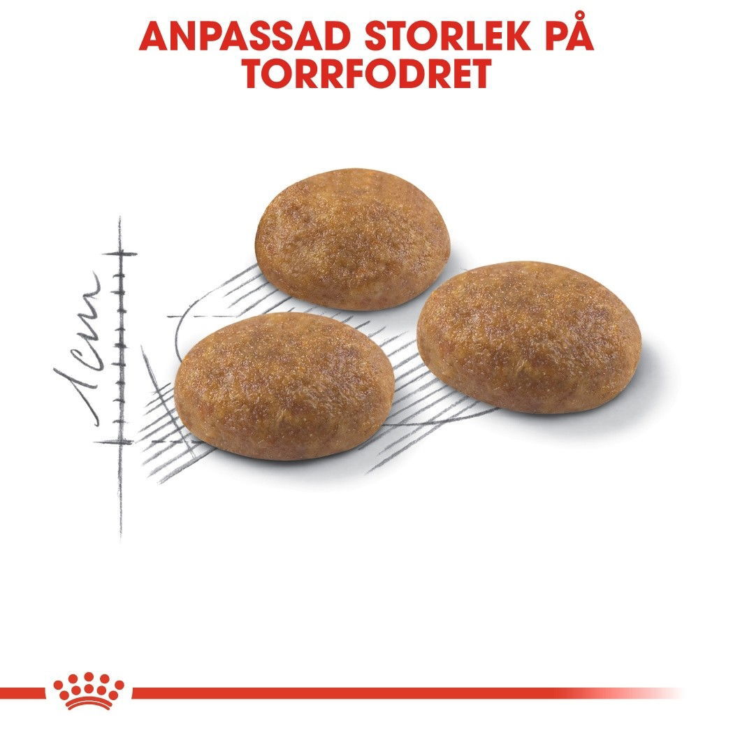 Royal Canin Outdoor Adult torrfoder för katt