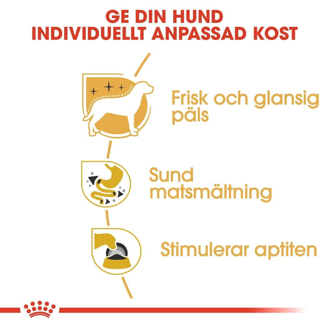 Royal Canin Chihuahua Adult Loaf våtfoder för hund