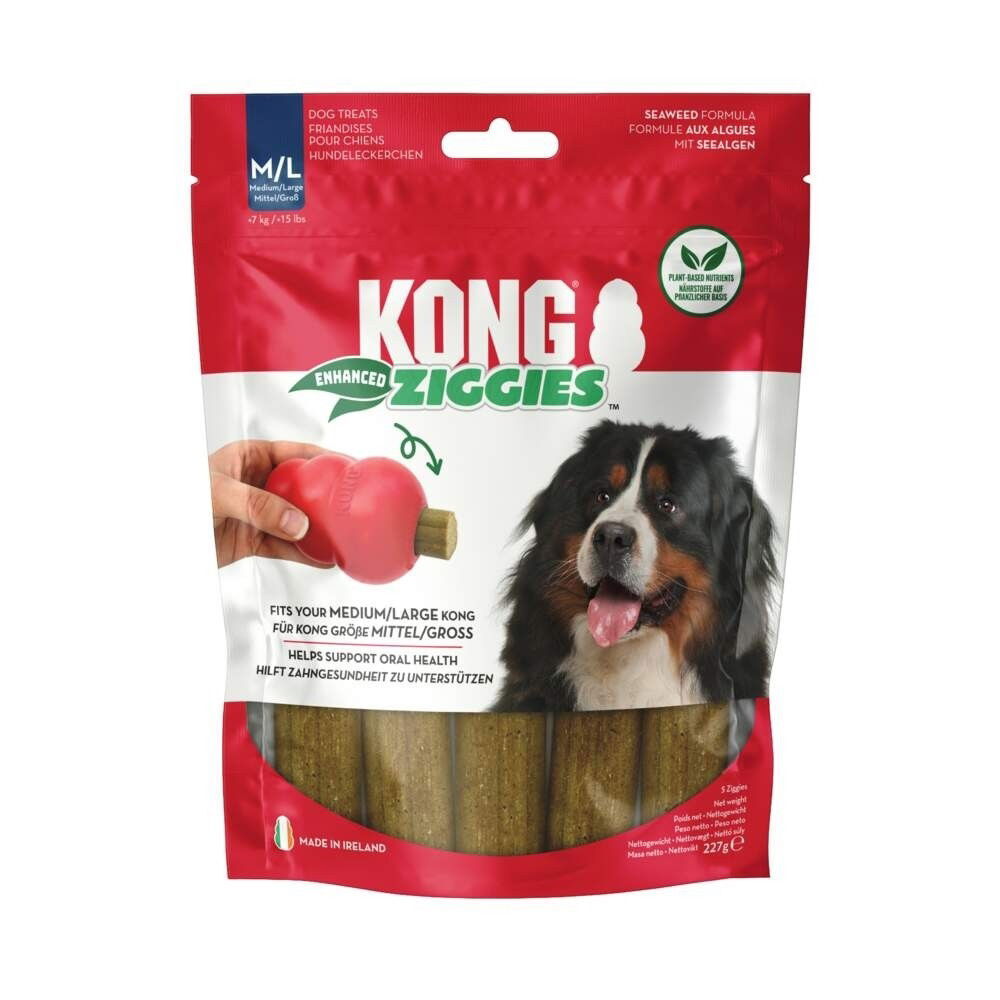 KONG Ziggies Chew