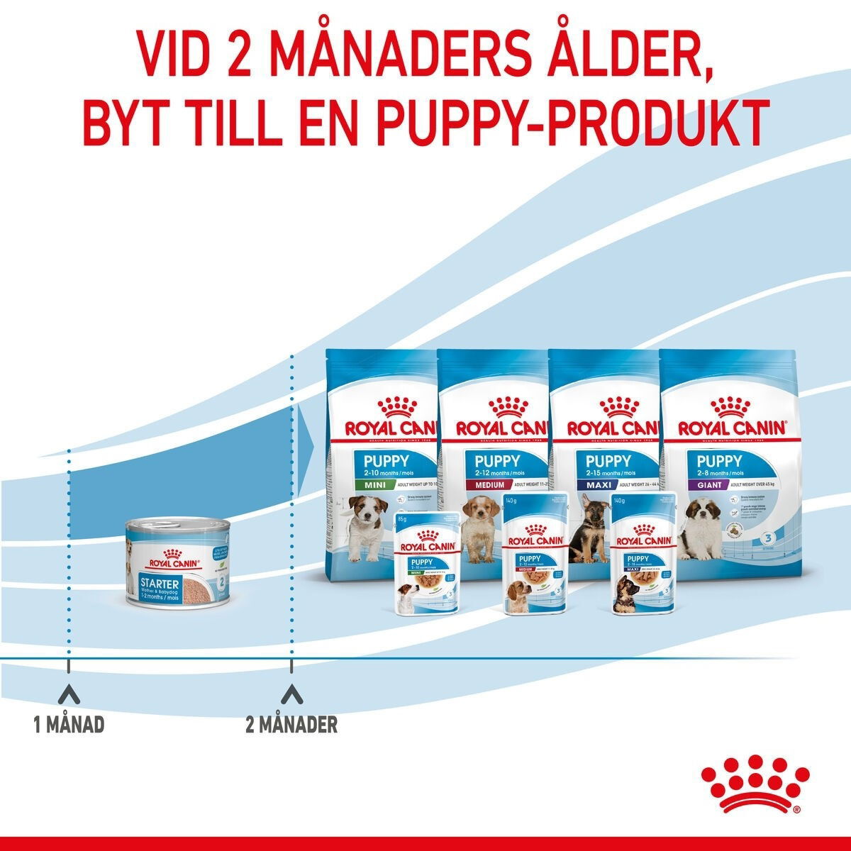 Royal Canin Mother & Babydog Starter Mousse våtfoder för hund och hundvalp