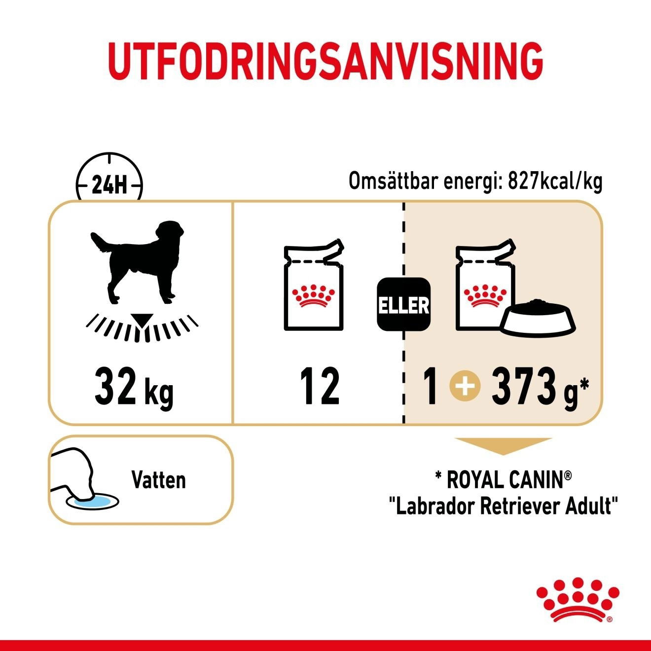 Royal Canin Breed Labrador Retriever 10 x 140 g