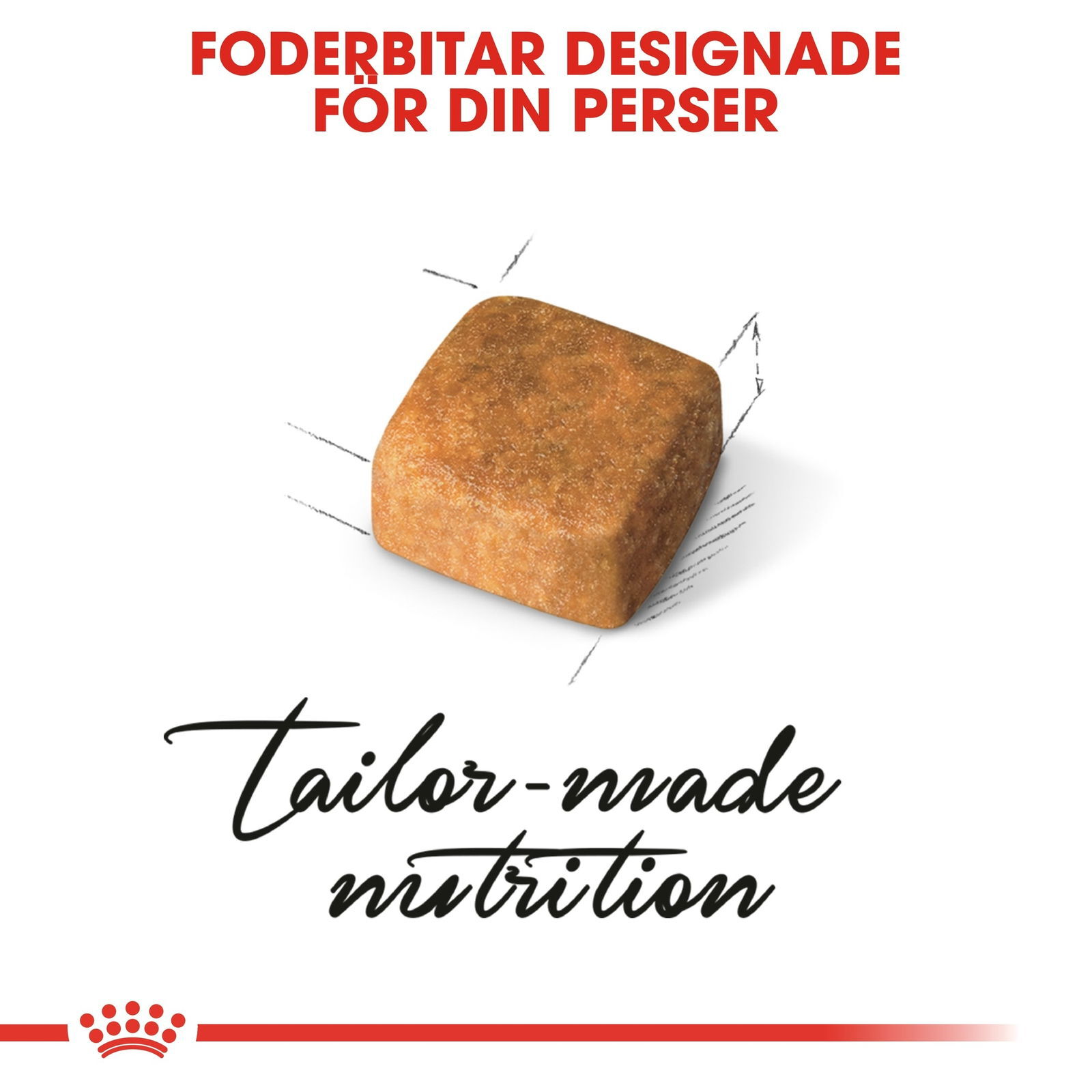 Royal Canin Persian Kitten torrfoder för kattunge