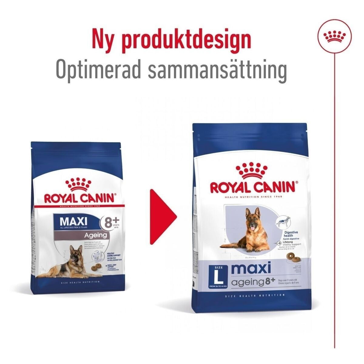 Royal Canin Maxi Ageing 8+ torrfoder för hund