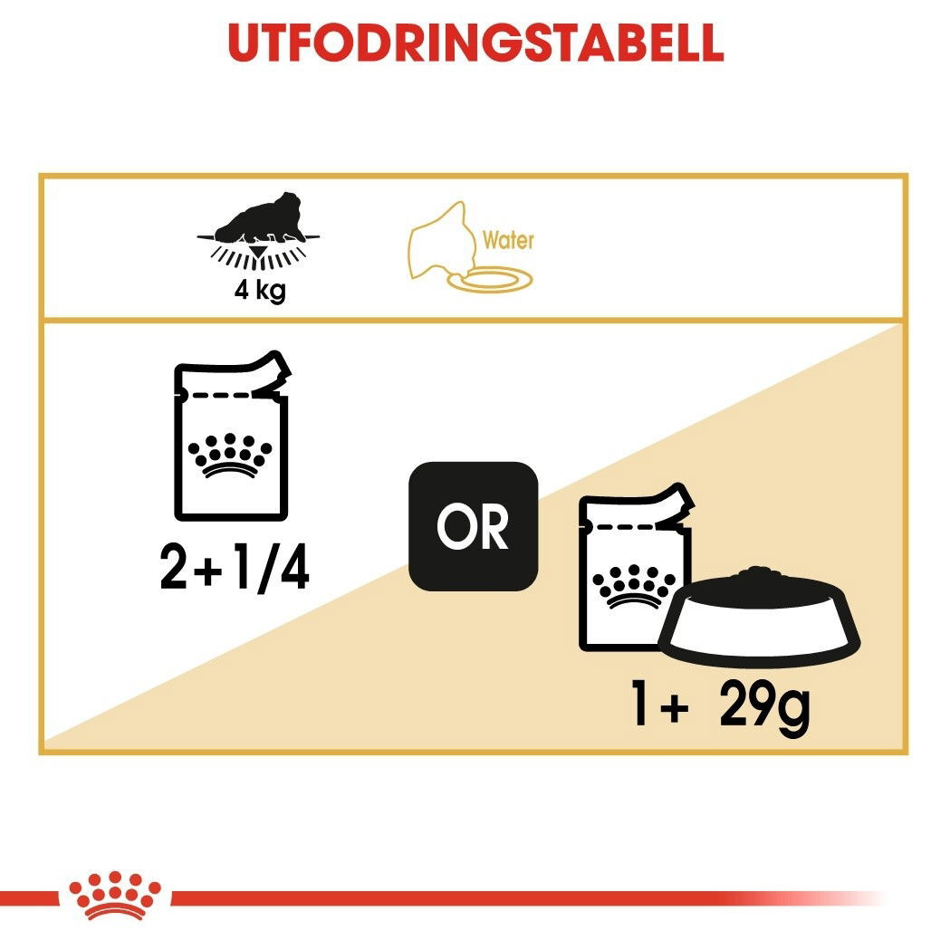Royal Canin Persian Adult Loaf våtfoder för katt